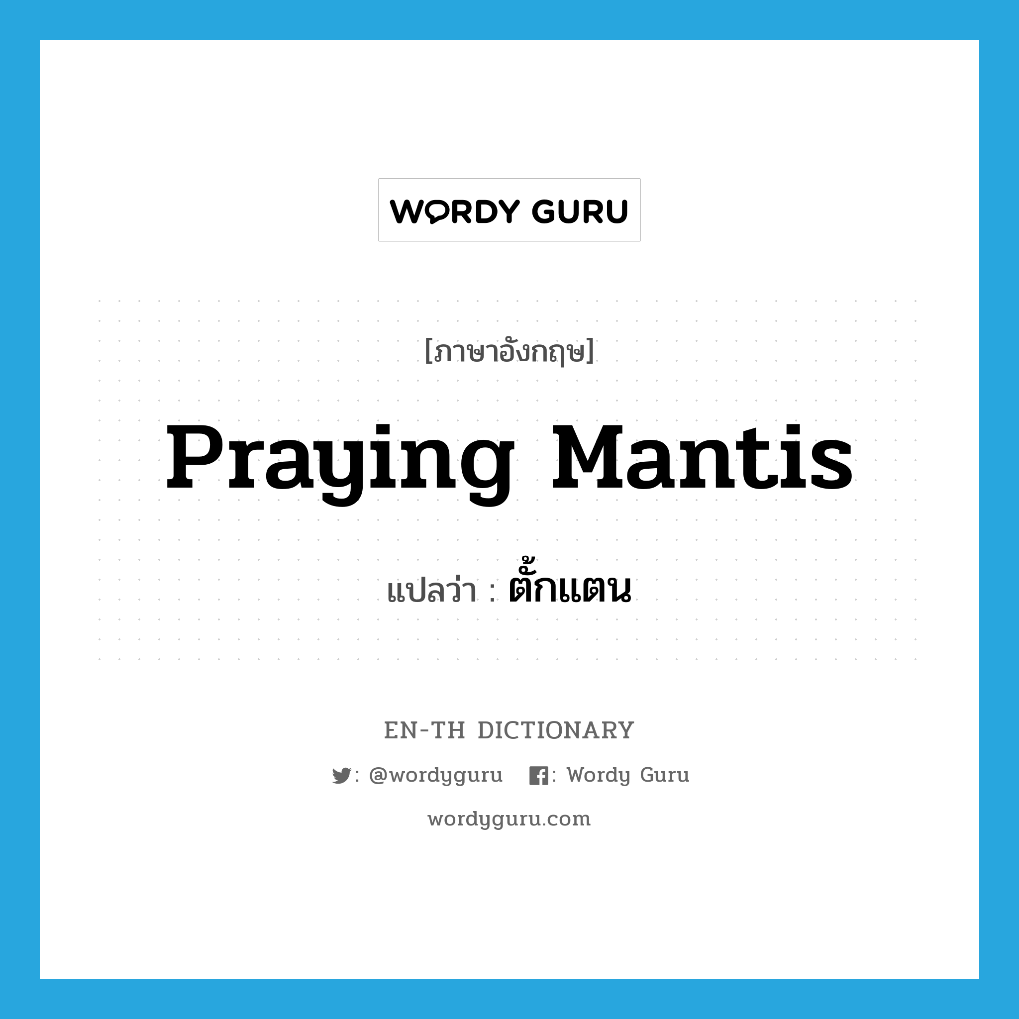 praying mantis แปลว่า?, คำศัพท์ภาษาอังกฤษ praying mantis แปลว่า ตั้กแตน ประเภท N หมวด N