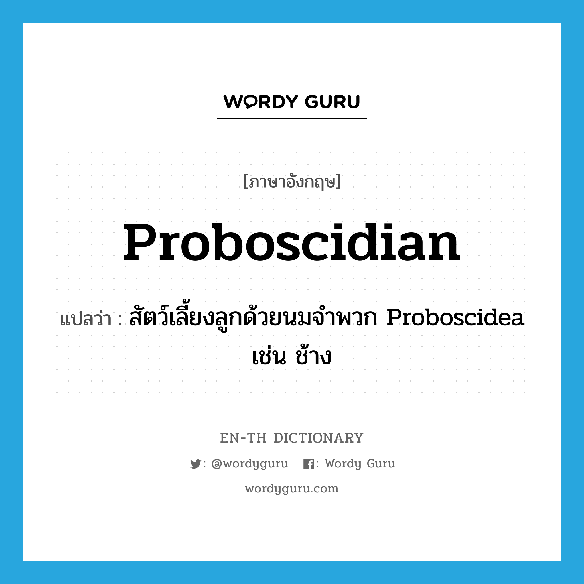สัตว์เลี้ยงลูกด้วยนมจำพวก Proboscidea เช่น ช้าง ภาษาอังกฤษ?, คำศัพท์ภาษาอังกฤษ สัตว์เลี้ยงลูกด้วยนมจำพวก Proboscidea เช่น ช้าง แปลว่า proboscidian ประเภท N หมวด N