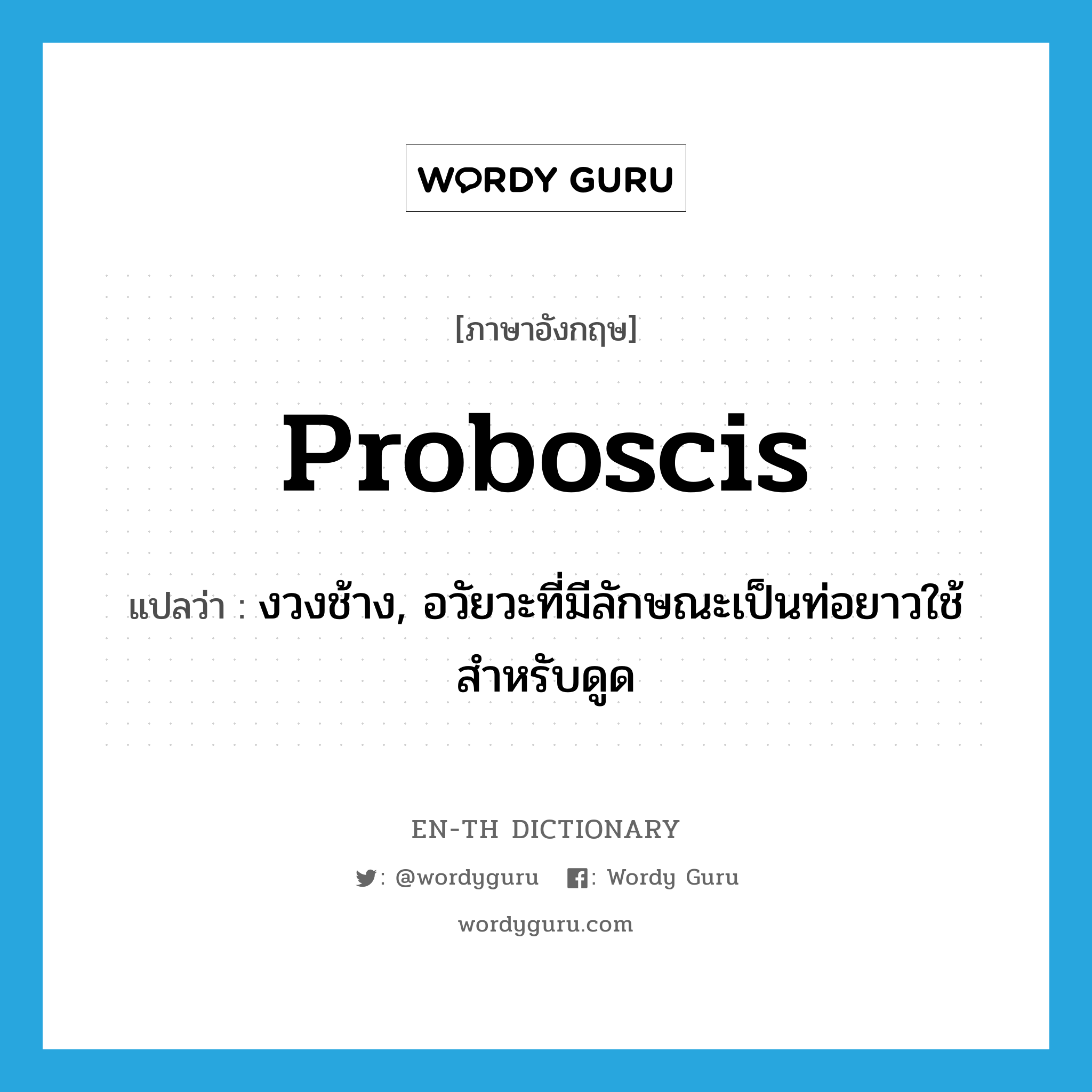 proboscis แปลว่า?, คำศัพท์ภาษาอังกฤษ proboscis แปลว่า งวงช้าง, อวัยวะที่มีลักษณะเป็นท่อยาวใช้สำหรับดูด ประเภท N หมวด N