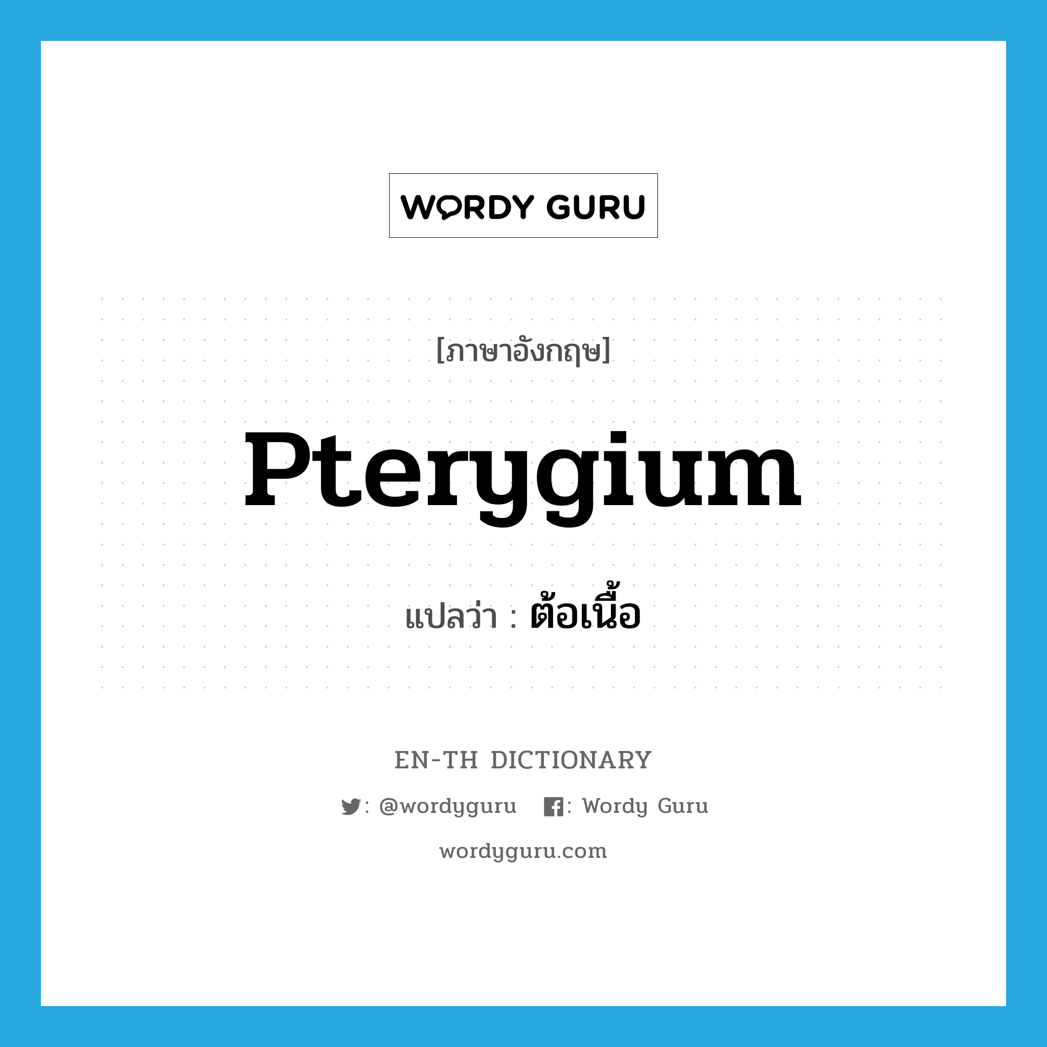 pterygium แปลว่า?, คำศัพท์ภาษาอังกฤษ pterygium แปลว่า ต้อเนื้อ ประเภท N หมวด N