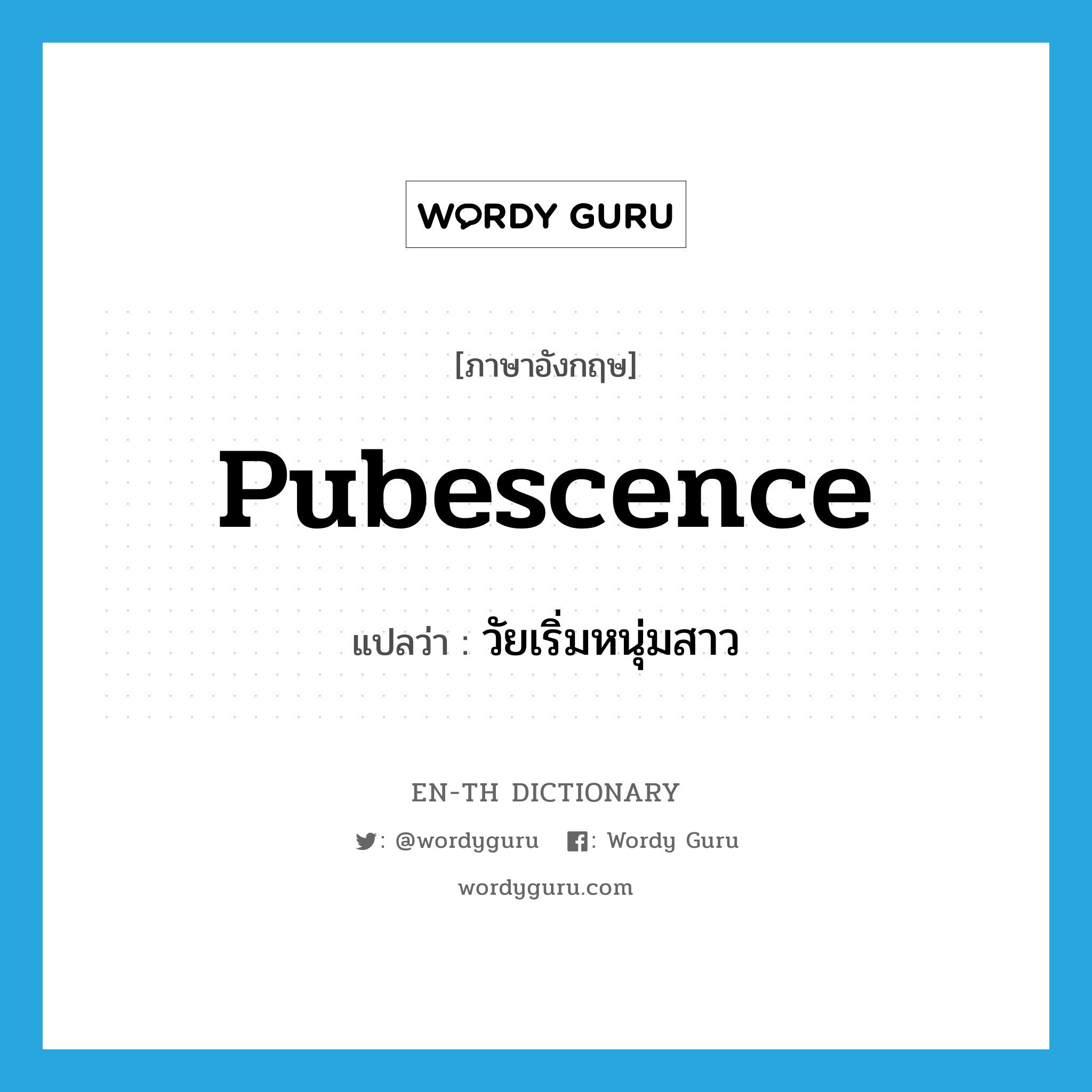 pubescence แปลว่า?, คำศัพท์ภาษาอังกฤษ pubescence แปลว่า วัยเริ่มหนุ่มสาว ประเภท N หมวด N