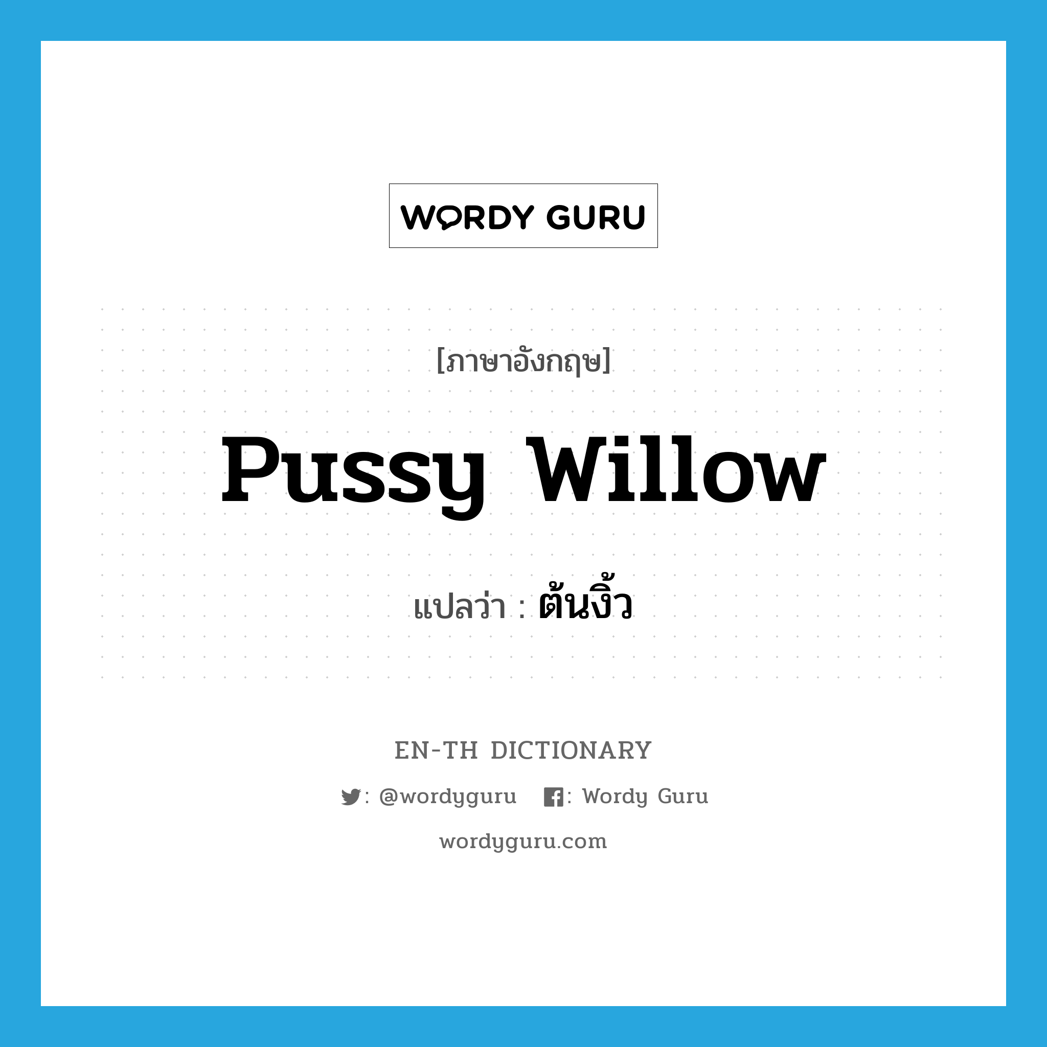 pussy willow แปลว่า?, คำศัพท์ภาษาอังกฤษ pussy willow แปลว่า ต้นงิ้ว ประเภท N หมวด N