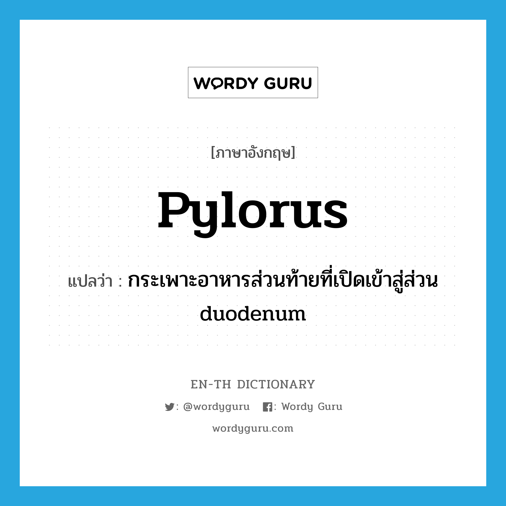 กระเพาะอาหารส่วนท้ายที่เปิดเข้าสู่ส่วน duodenum ภาษาอังกฤษ?, คำศัพท์ภาษาอังกฤษ กระเพาะอาหารส่วนท้ายที่เปิดเข้าสู่ส่วน duodenum แปลว่า pylorus ประเภท N หมวด N