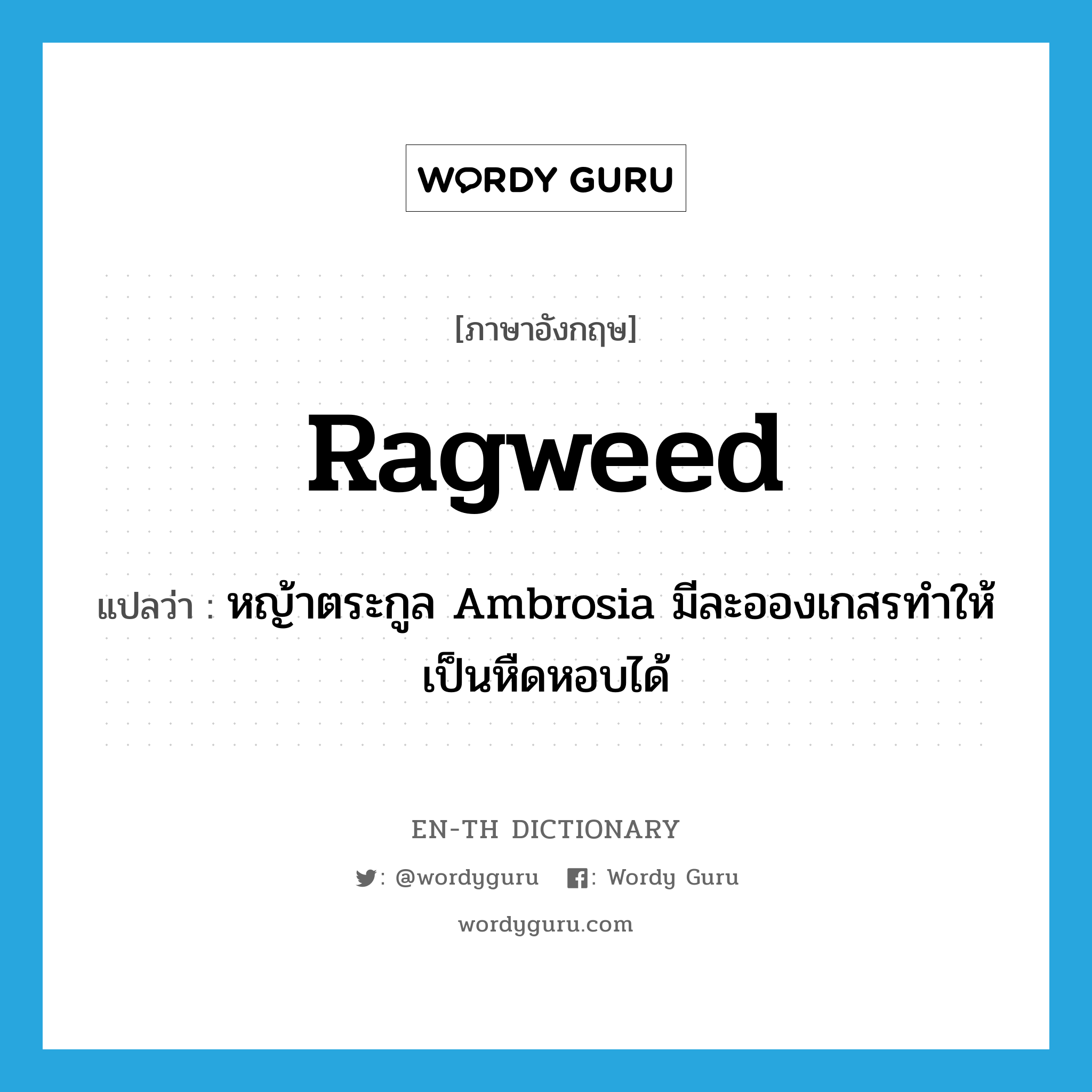 หญ้าตระกูล Ambrosia มีละอองเกสรทำให้เป็นหืดหอบได้ ภาษาอังกฤษ?, คำศัพท์ภาษาอังกฤษ หญ้าตระกูล Ambrosia มีละอองเกสรทำให้เป็นหืดหอบได้ แปลว่า ragweed ประเภท N หมวด N