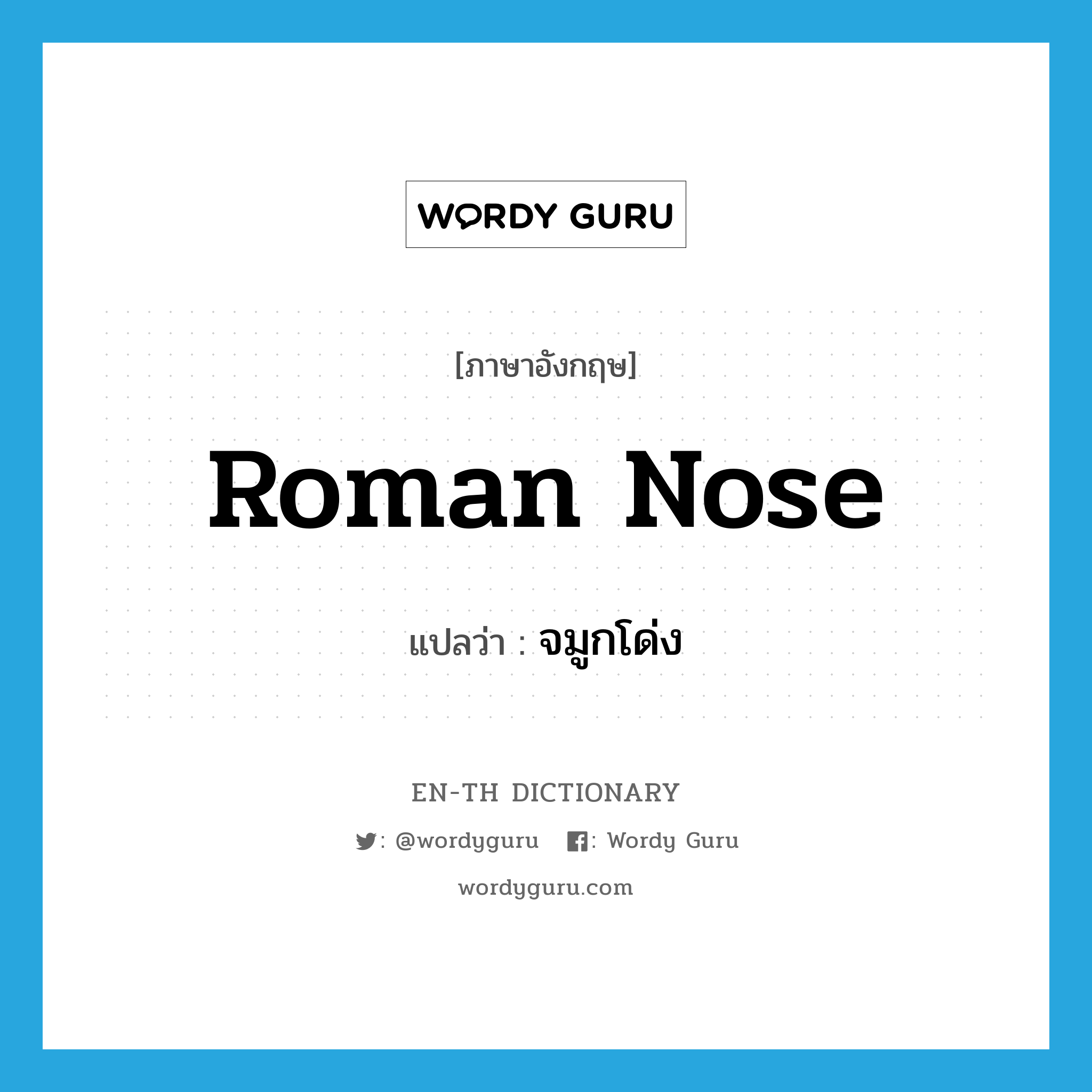 Roman nose แปลว่า?, คำศัพท์ภาษาอังกฤษ Roman nose แปลว่า จมูกโด่ง ประเภท N หมวด N