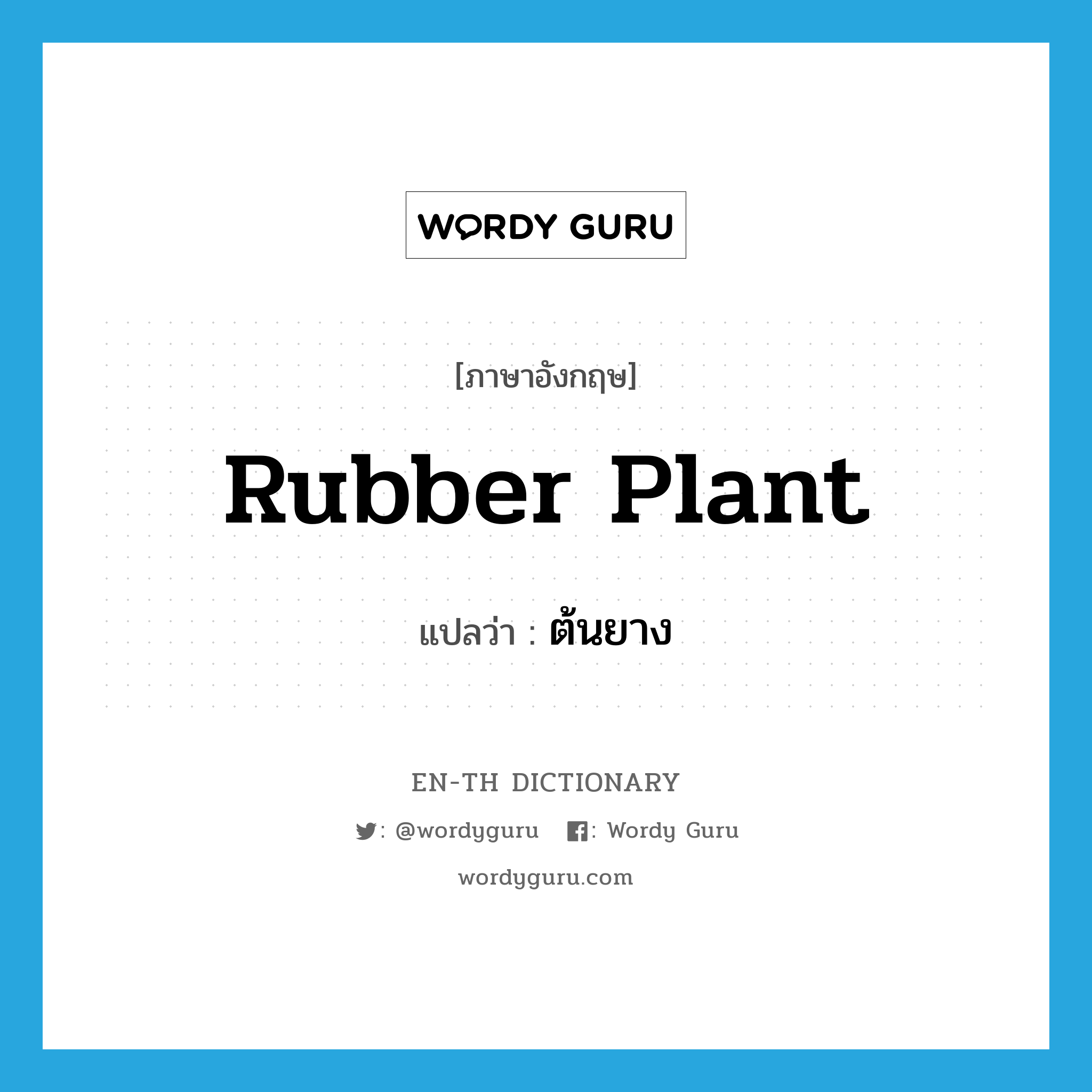 rubber plant แปลว่า?, คำศัพท์ภาษาอังกฤษ rubber plant แปลว่า ต้นยาง ประเภท N หมวด N