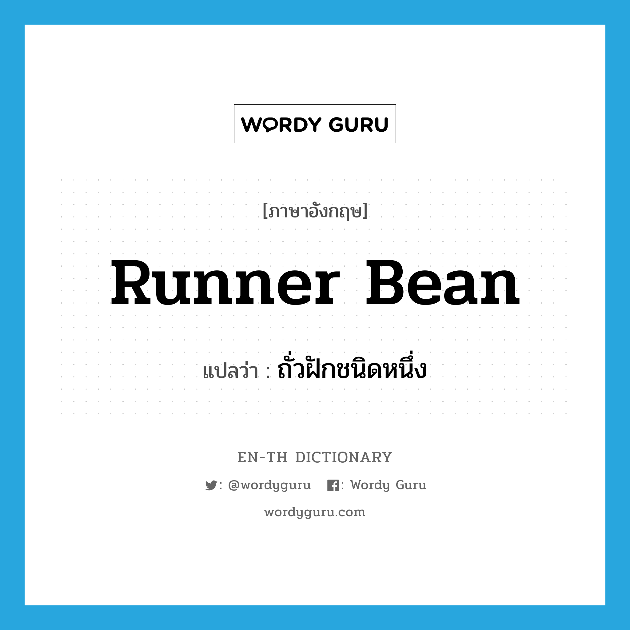 runner bean แปลว่า?, คำศัพท์ภาษาอังกฤษ runner bean แปลว่า ถั่วฝักชนิดหนึ่ง ประเภท N หมวด N