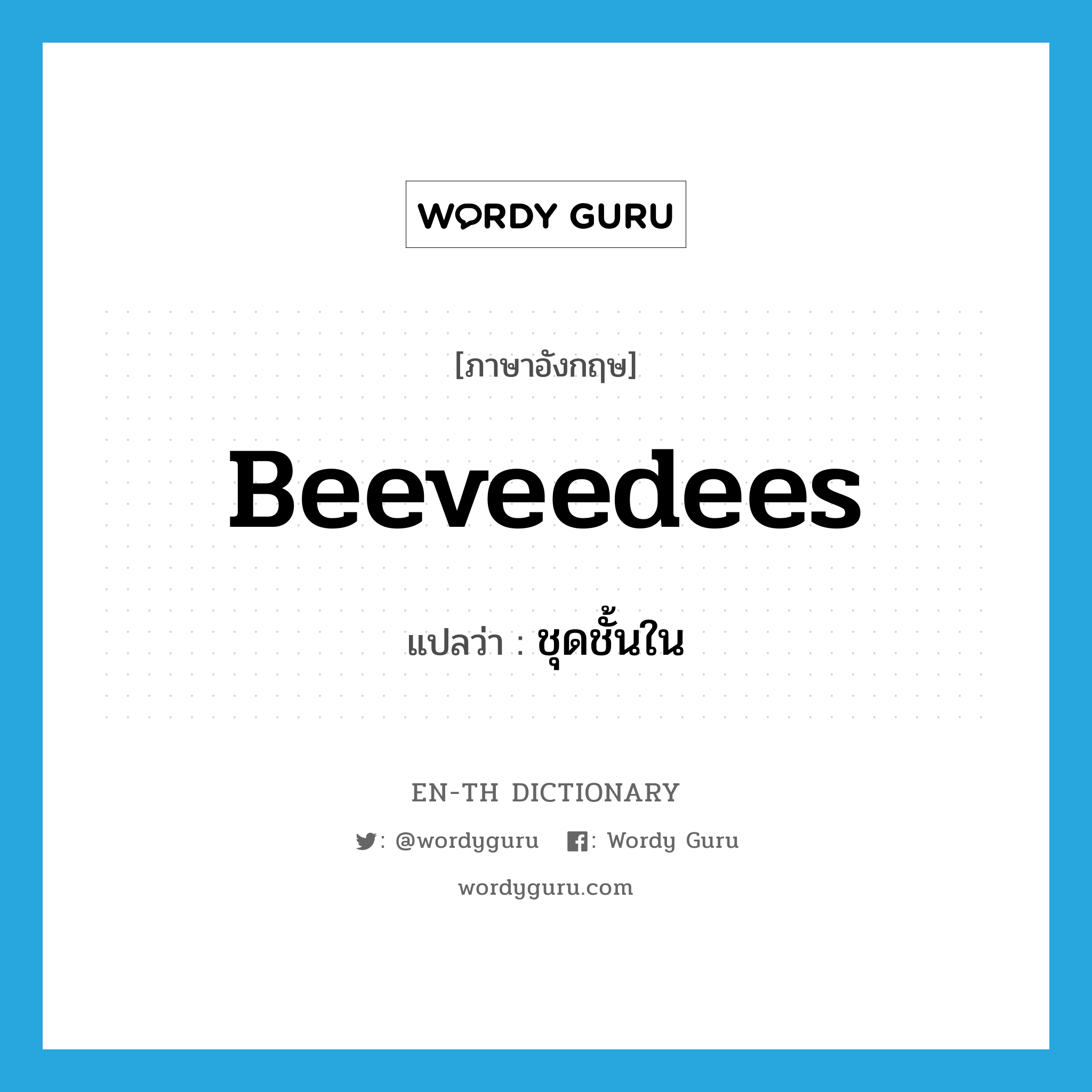 beeveedees แปลว่า?, คำศัพท์ภาษาอังกฤษ beeveedees แปลว่า ชุดชั้นใน ประเภท SL หมวด SL
