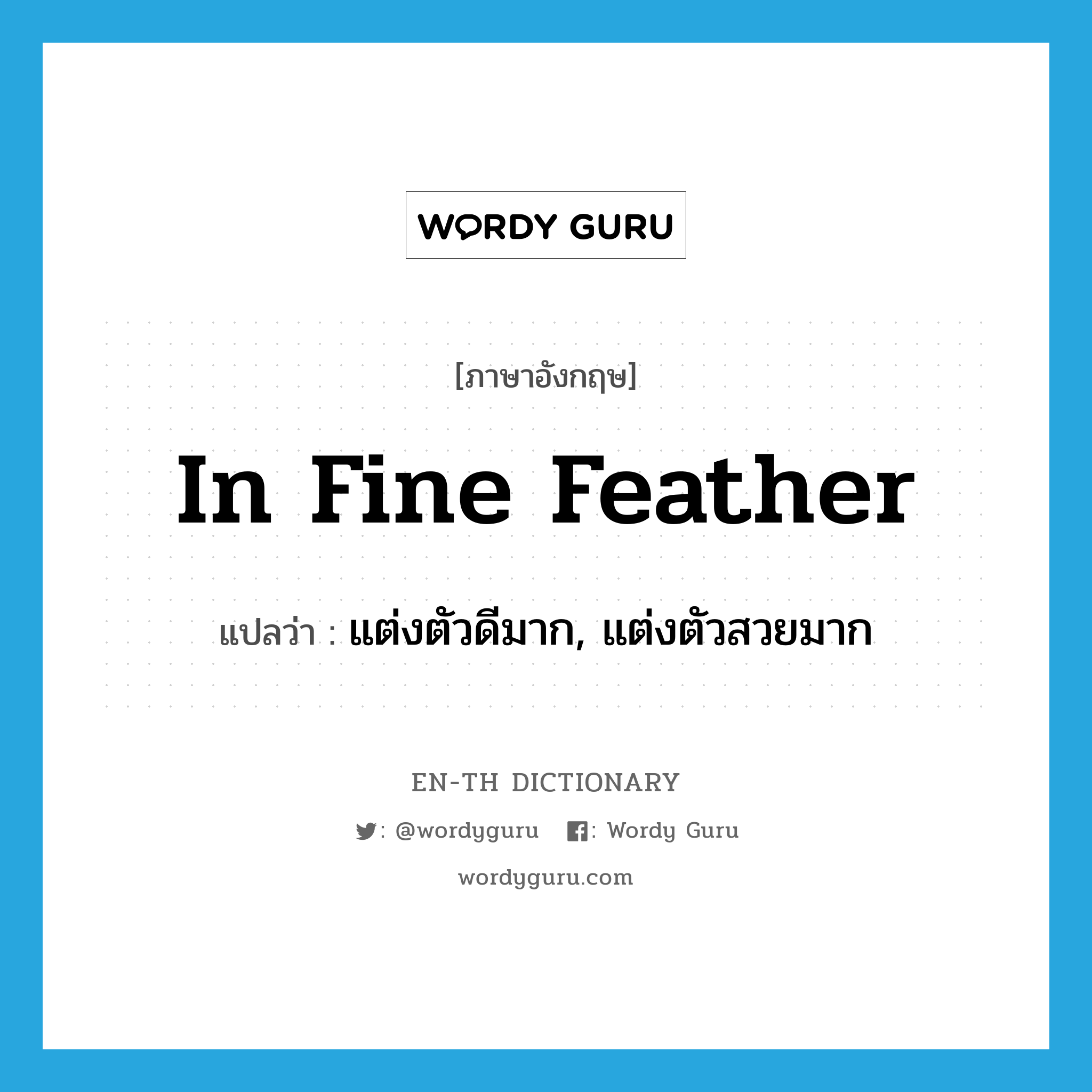 in fine feather แปลว่า?, คำศัพท์ภาษาอังกฤษ in fine feather แปลว่า แต่งตัวดีมาก, แต่งตัวสวยมาก ประเภท SL หมวด SL