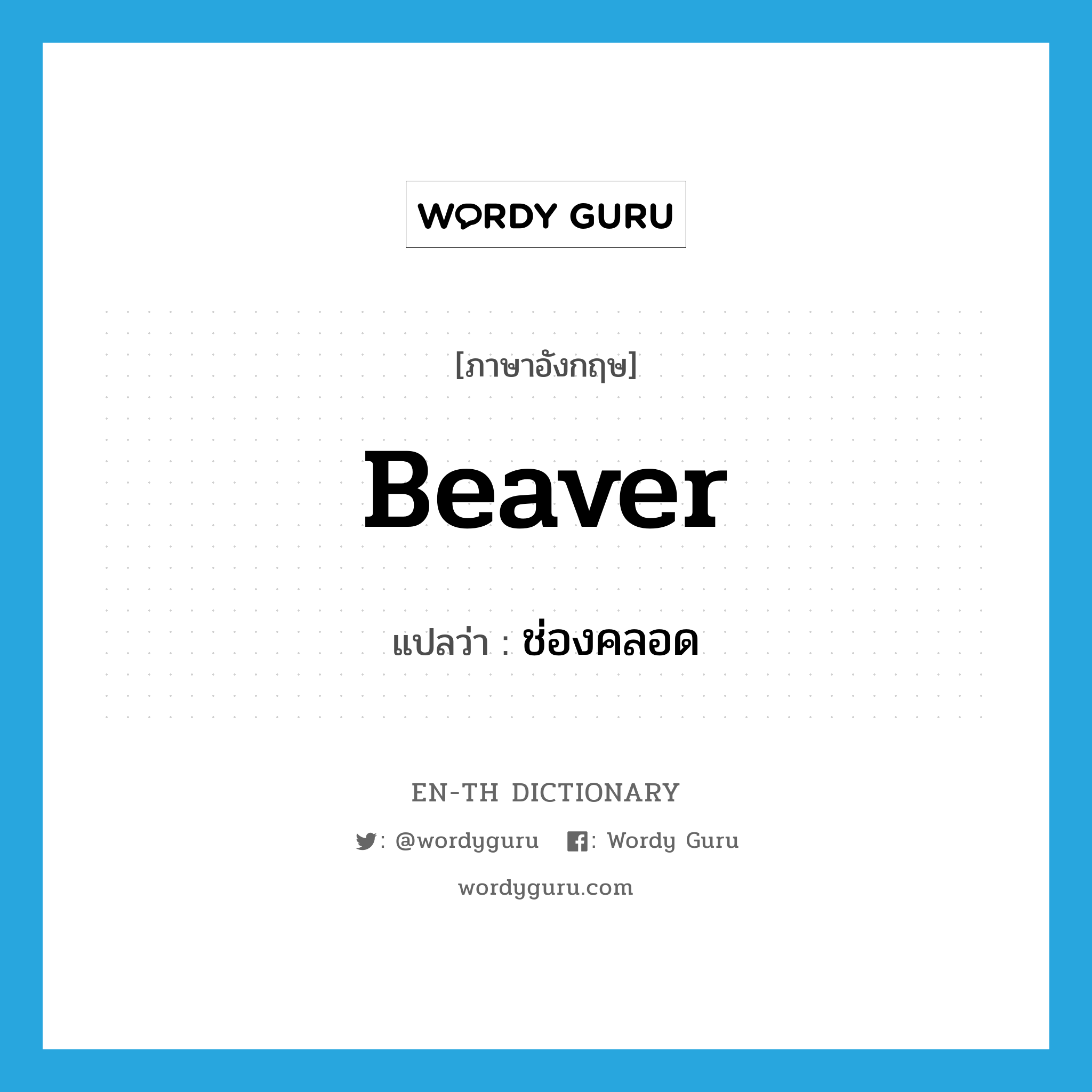 beaver แปลว่า?, คำศัพท์ภาษาอังกฤษ beaver แปลว่า ช่องคลอด ประเภท SL หมวด SL
