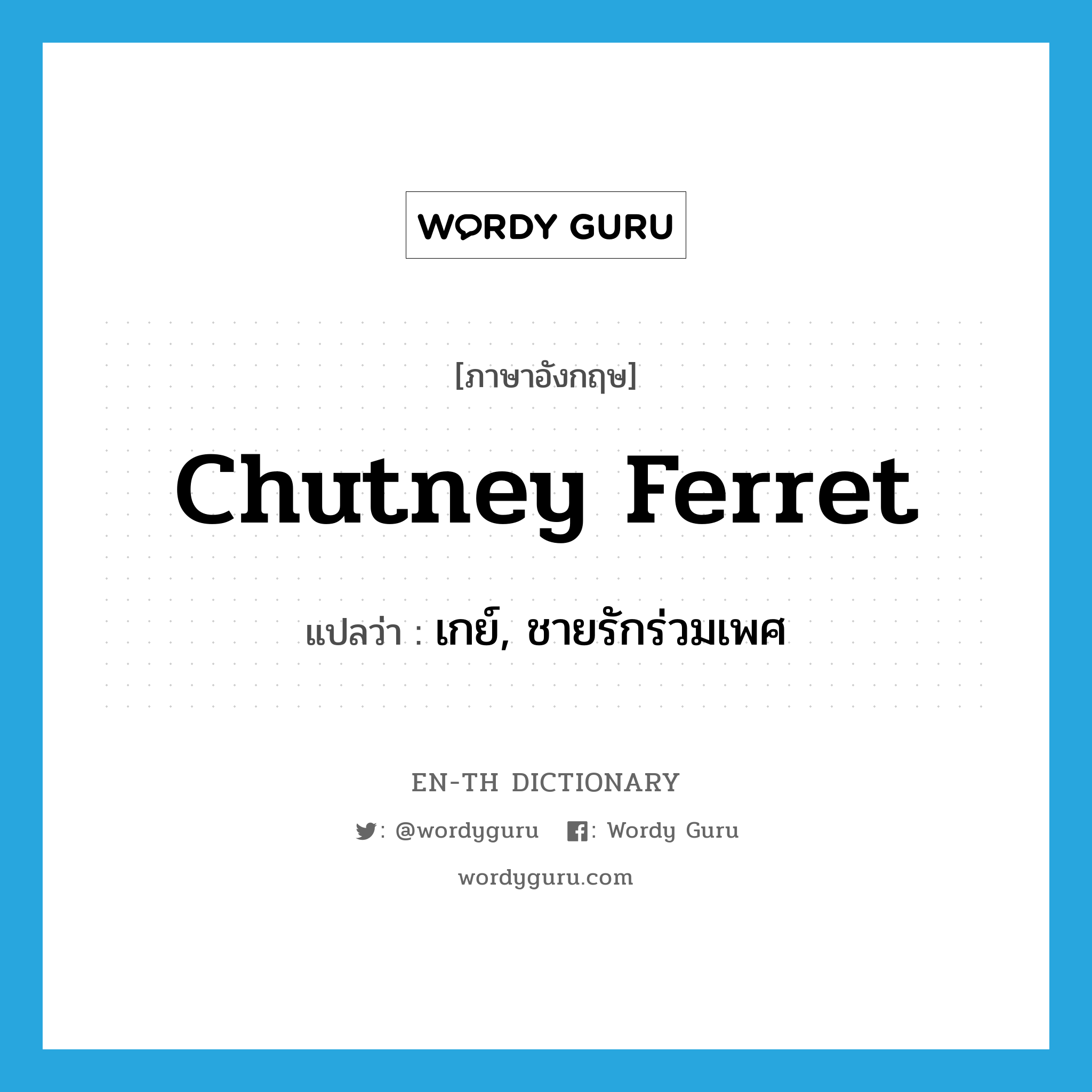 chutney ferret แปลว่า?, คำศัพท์ภาษาอังกฤษ chutney ferret แปลว่า เกย์, ชายรักร่วมเพศ ประเภท SL หมวด SL