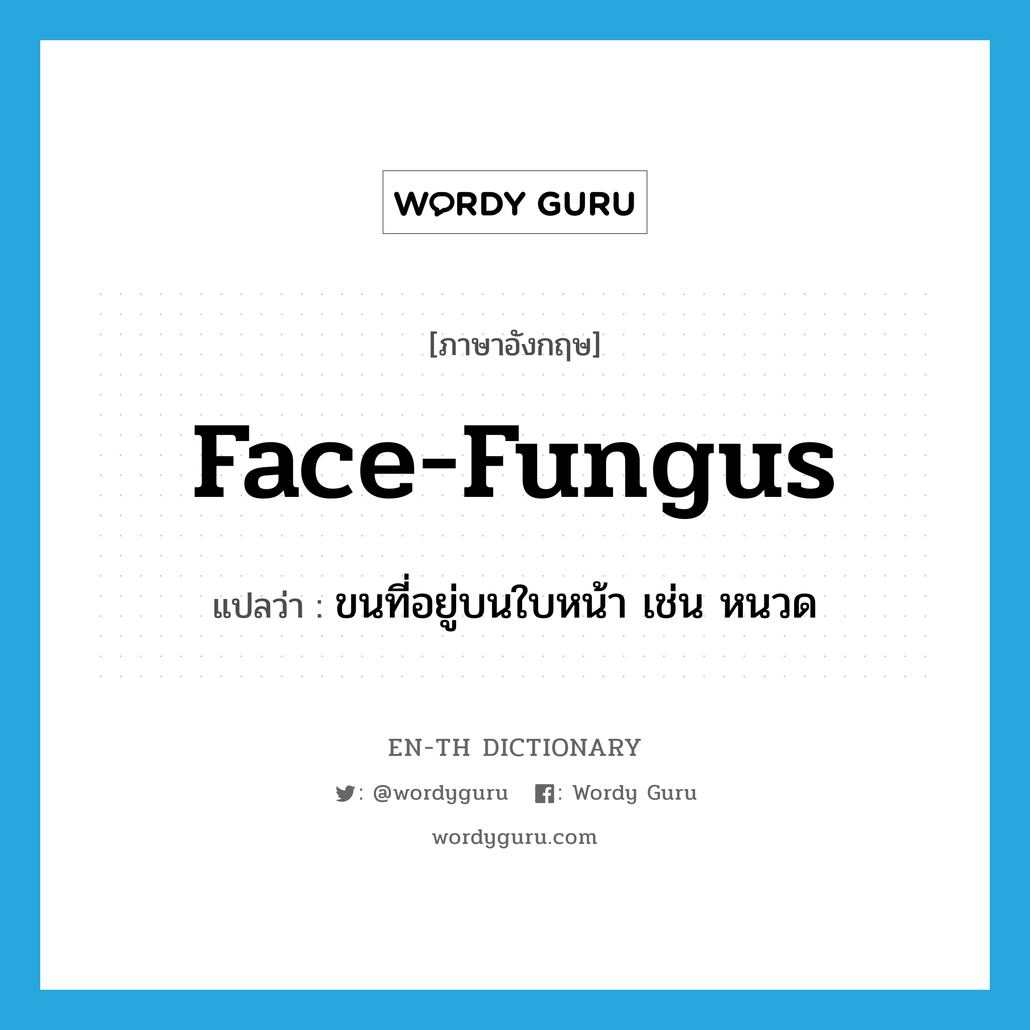 ขนที่อยู่บนใบหน้า เช่น หนวด ภาษาอังกฤษ?, คำศัพท์ภาษาอังกฤษ ขนที่อยู่บนใบหน้า เช่น หนวด แปลว่า face-fungus ประเภท SL หมวด SL