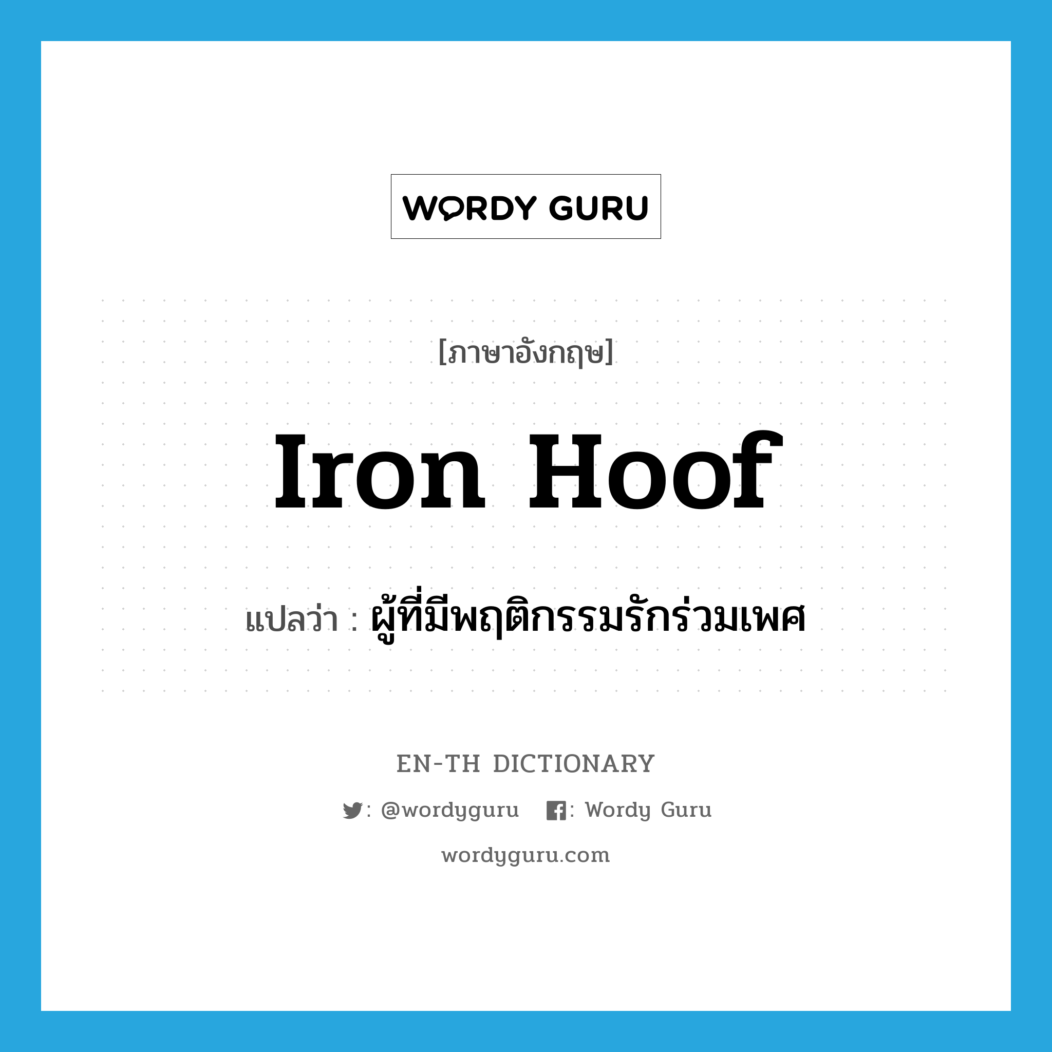 iron hoof แปลว่า?, คำศัพท์ภาษาอังกฤษ iron hoof แปลว่า ผู้ที่มีพฤติกรรมรักร่วมเพศ ประเภท SL หมวด SL
