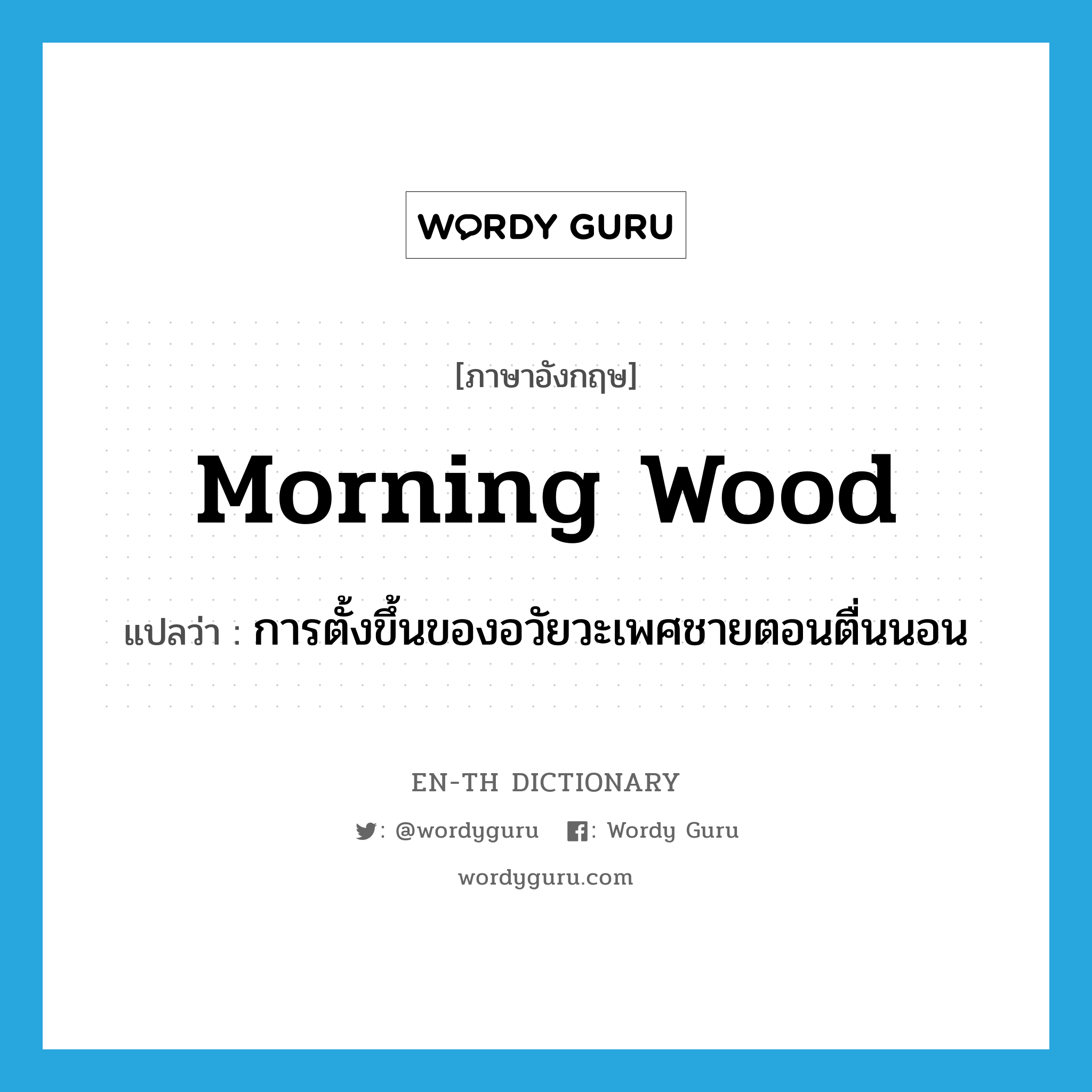 morning wood แปลว่า?, คำศัพท์ภาษาอังกฤษ morning wood แปลว่า การตั้งขึ้นของอวัยวะเพศชายตอนตื่นนอน ประเภท SL หมวด SL