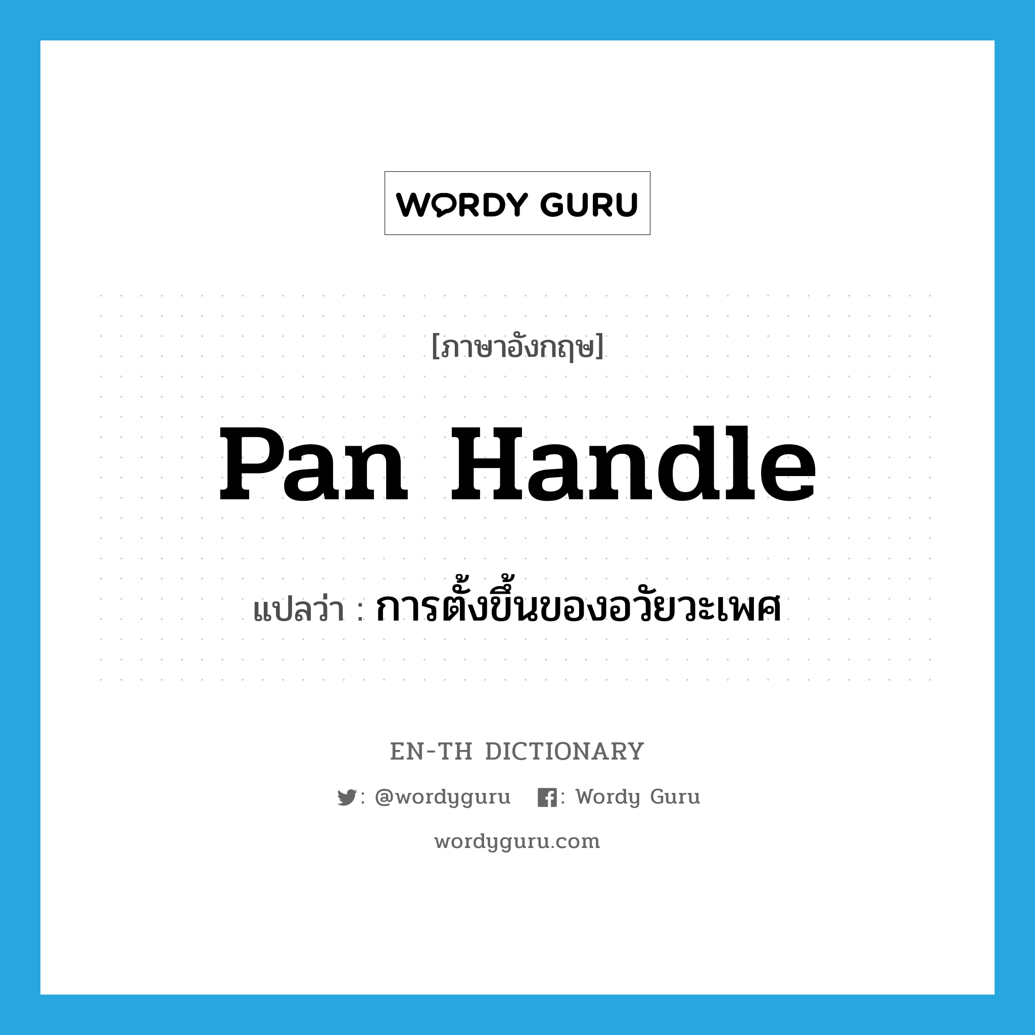 pan handle แปลว่า?, คำศัพท์ภาษาอังกฤษ pan handle แปลว่า การตั้งขึ้นของอวัยวะเพศ ประเภท SL หมวด SL