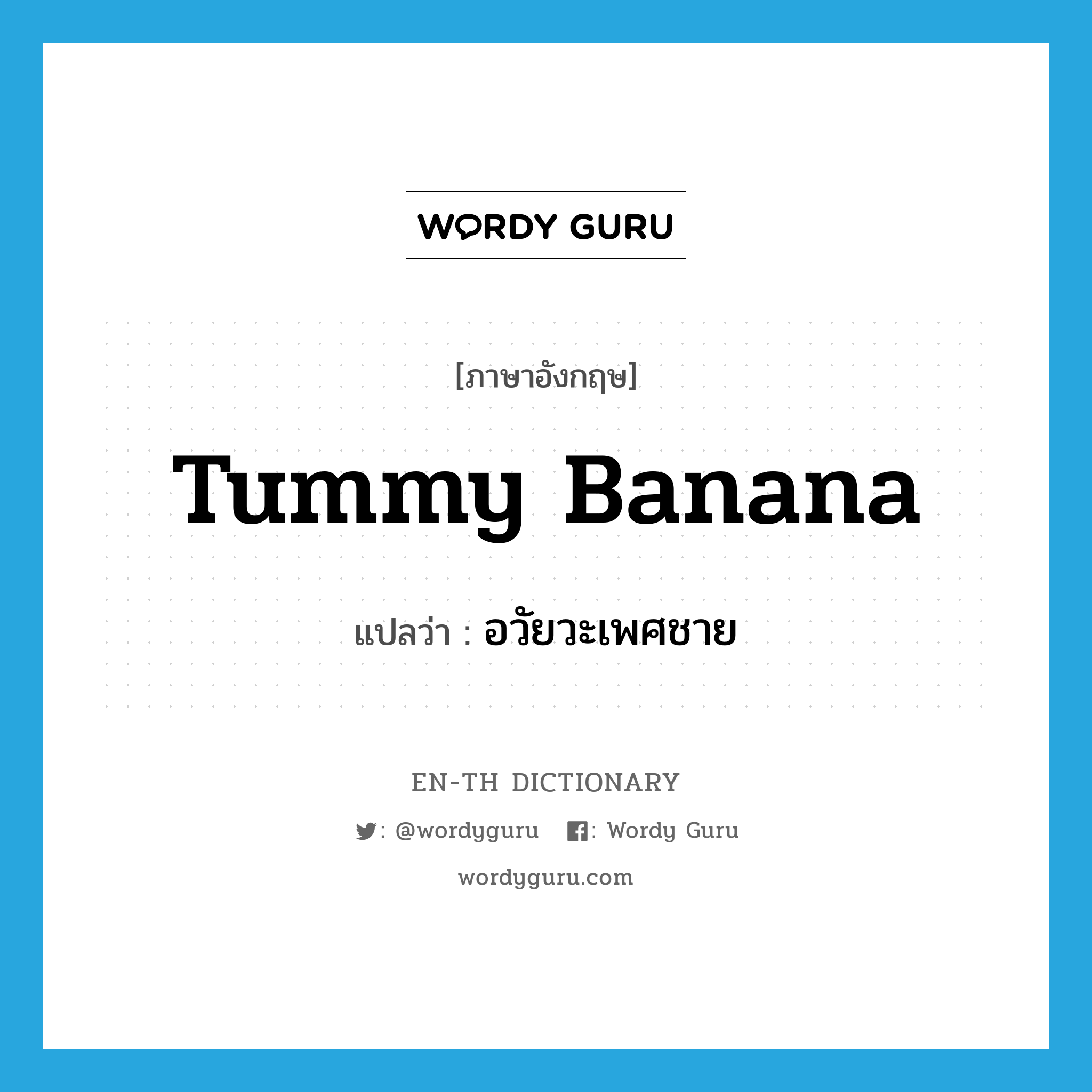 tummy banana แปลว่า?, คำศัพท์ภาษาอังกฤษ tummy banana แปลว่า อวัยวะเพศชาย ประเภท SL หมวด SL