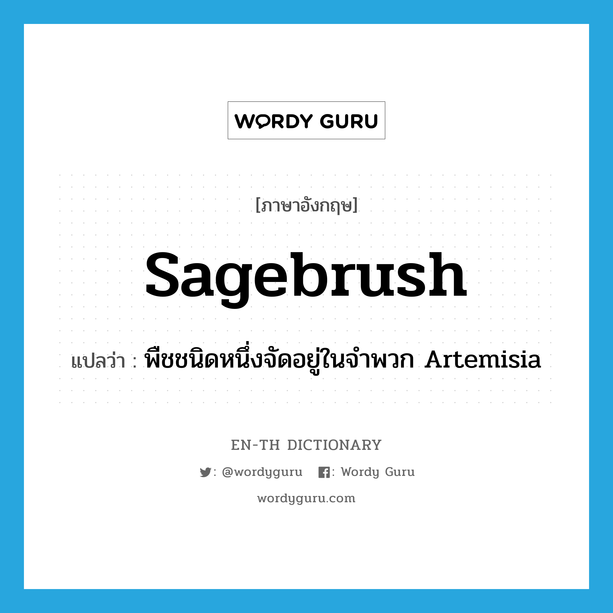 sagebrush แปลว่า?, คำศัพท์ภาษาอังกฤษ sagebrush แปลว่า พืชชนิดหนึ่งจัดอยู่ในจำพวก Artemisia ประเภท N หมวด N