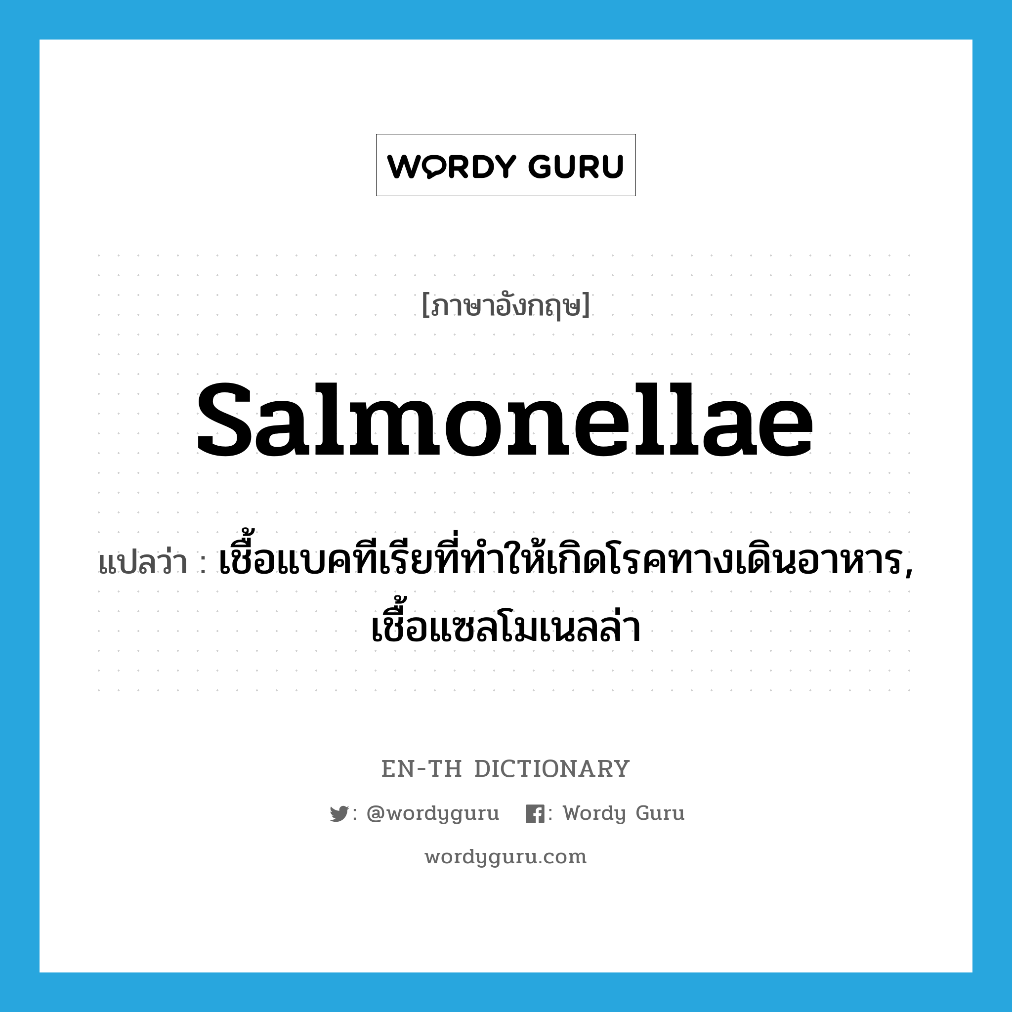 salmonellae แปลว่า?, คำศัพท์ภาษาอังกฤษ salmonellae แปลว่า เชื้อแบคทีเรียที่ทำให้เกิดโรคทางเดินอาหาร, เชื้อแซลโมเนลล่า ประเภท N หมวด N