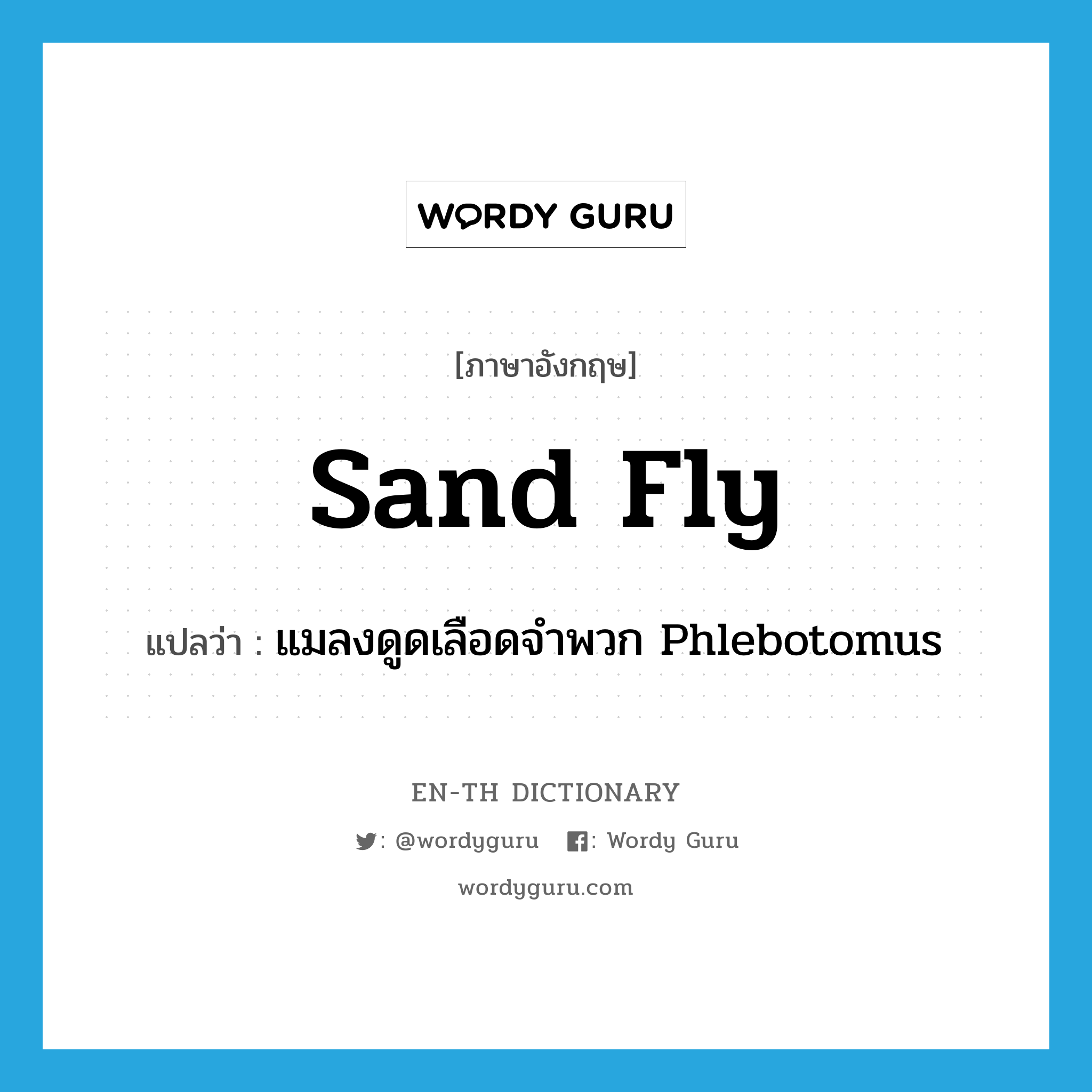 sand fly แปลว่า?, คำศัพท์ภาษาอังกฤษ sand fly แปลว่า แมลงดูดเลือดจำพวก Phlebotomus ประเภท N หมวด N