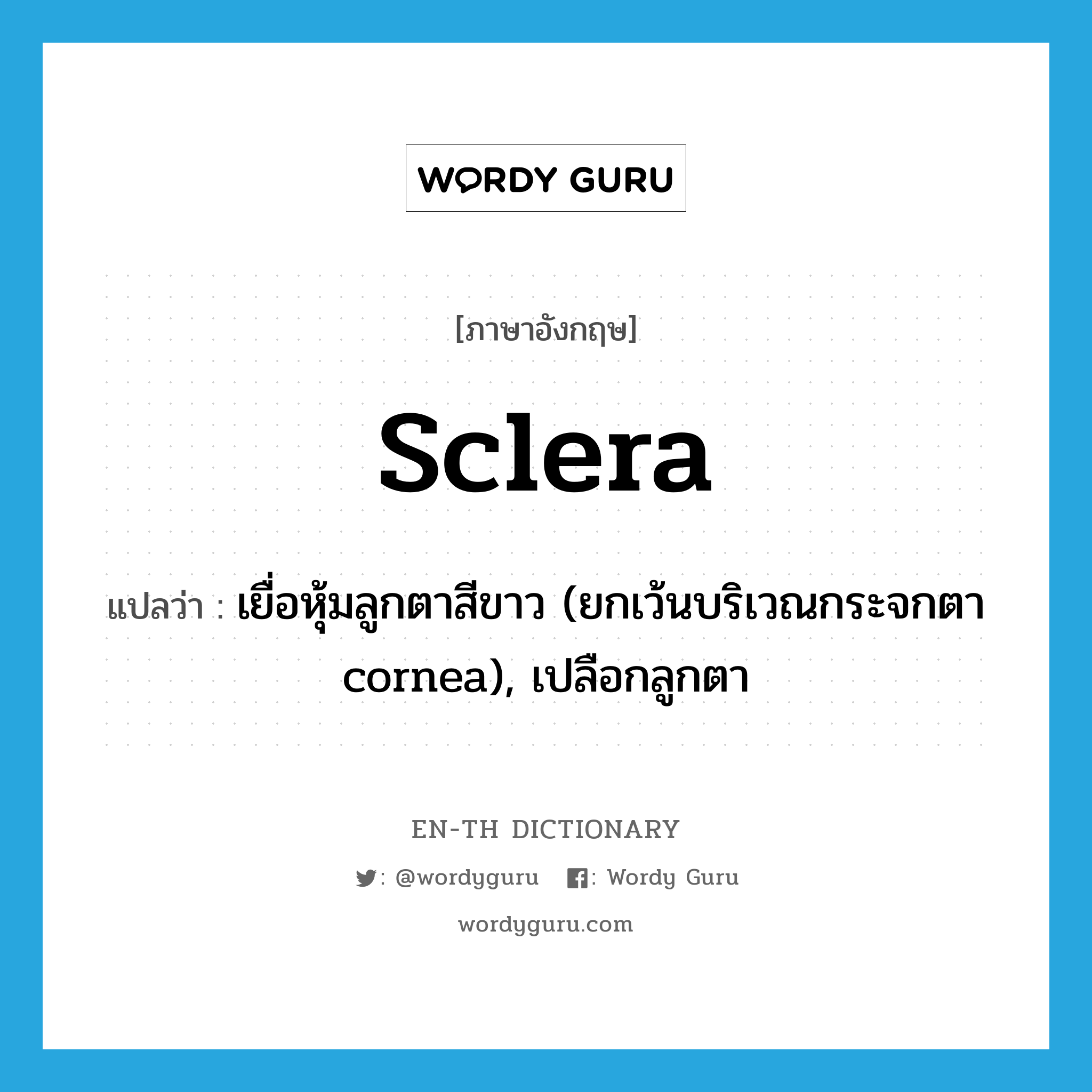 sclera แปลว่า?, คำศัพท์ภาษาอังกฤษ sclera แปลว่า เยื่อหุ้มลูกตาสีขาว (ยกเว้นบริเวณกระจกตา cornea), เปลือกลูกตา ประเภท N หมวด N