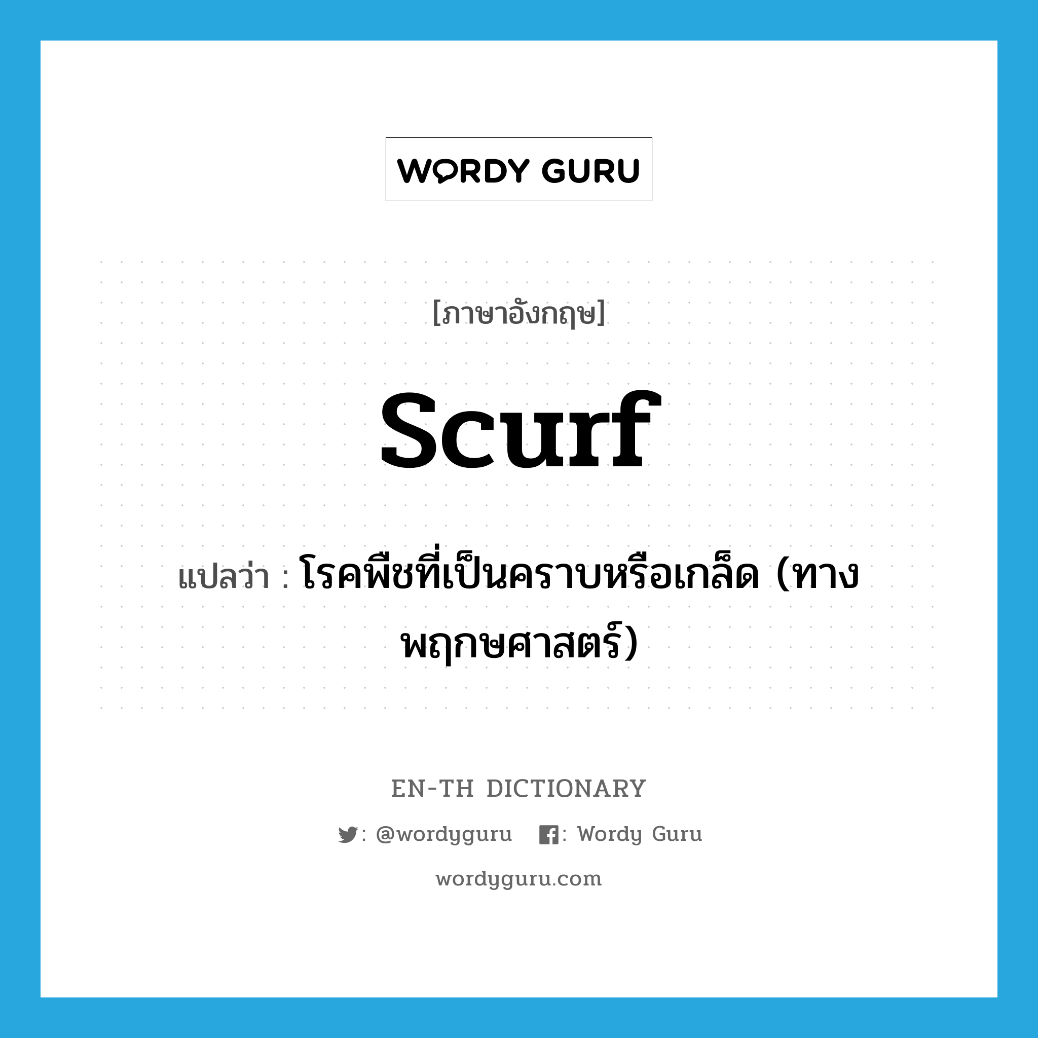 scurf แปลว่า?, คำศัพท์ภาษาอังกฤษ scurf แปลว่า โรคพืชที่เป็นคราบหรือเกล็ด (ทางพฤกษศาสตร์) ประเภท N หมวด N