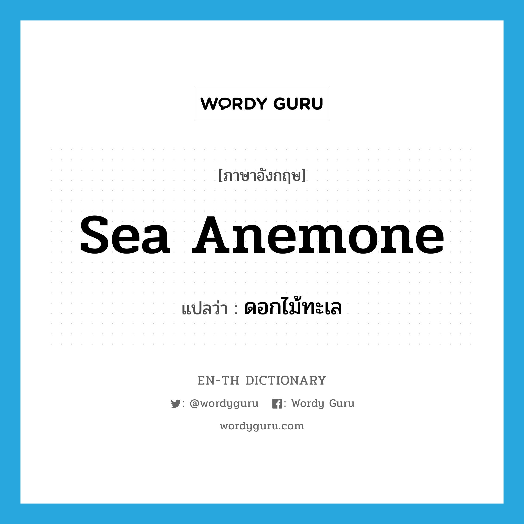 sea anemone แปลว่า?, คำศัพท์ภาษาอังกฤษ sea anemone แปลว่า ดอกไม้ทะเล ประเภท N หมวด N