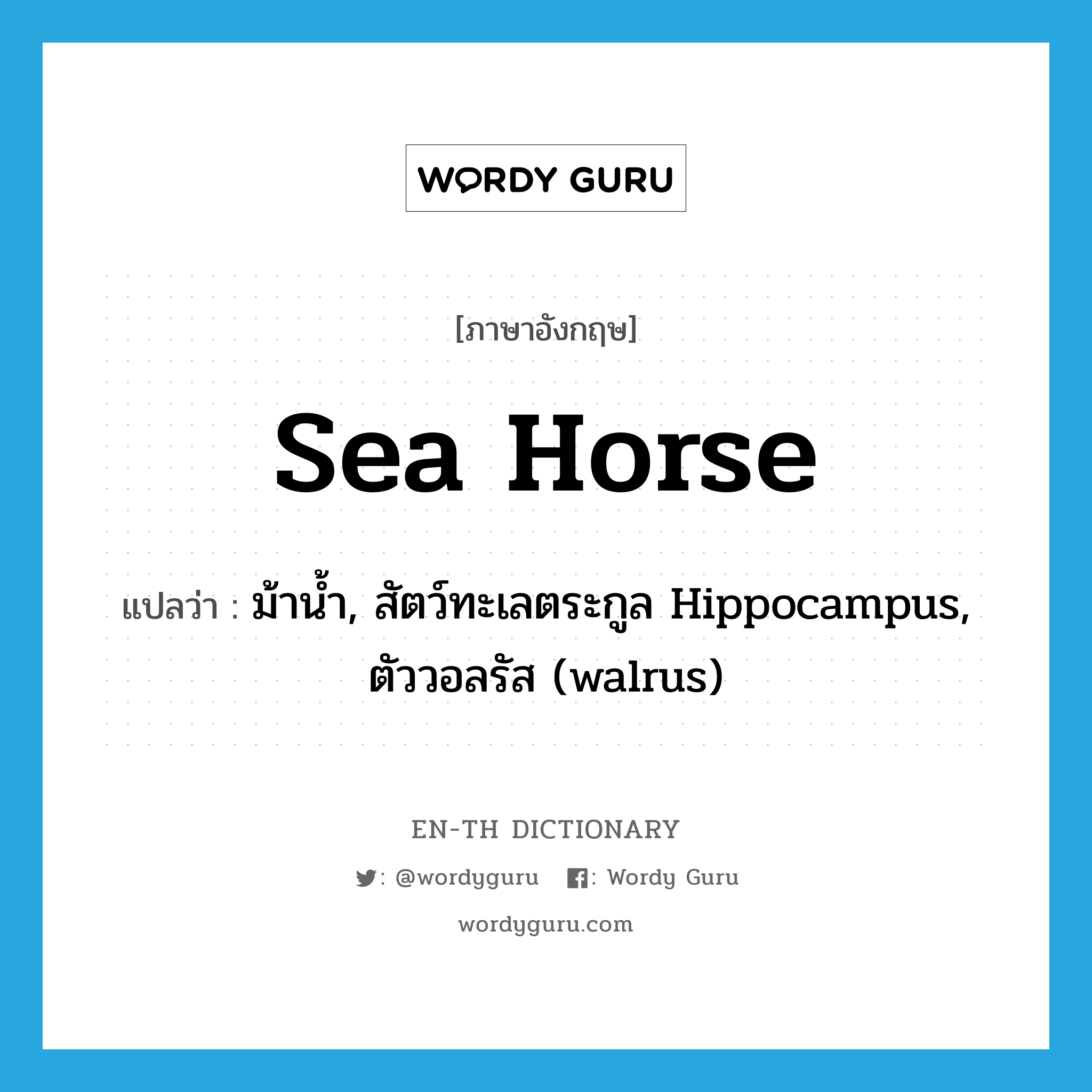 sea horse แปลว่า?, คำศัพท์ภาษาอังกฤษ sea horse แปลว่า ม้าน้ำ, สัตว์ทะเลตระกูล Hippocampus, ตัววอลรัส (walrus) ประเภท N หมวด N