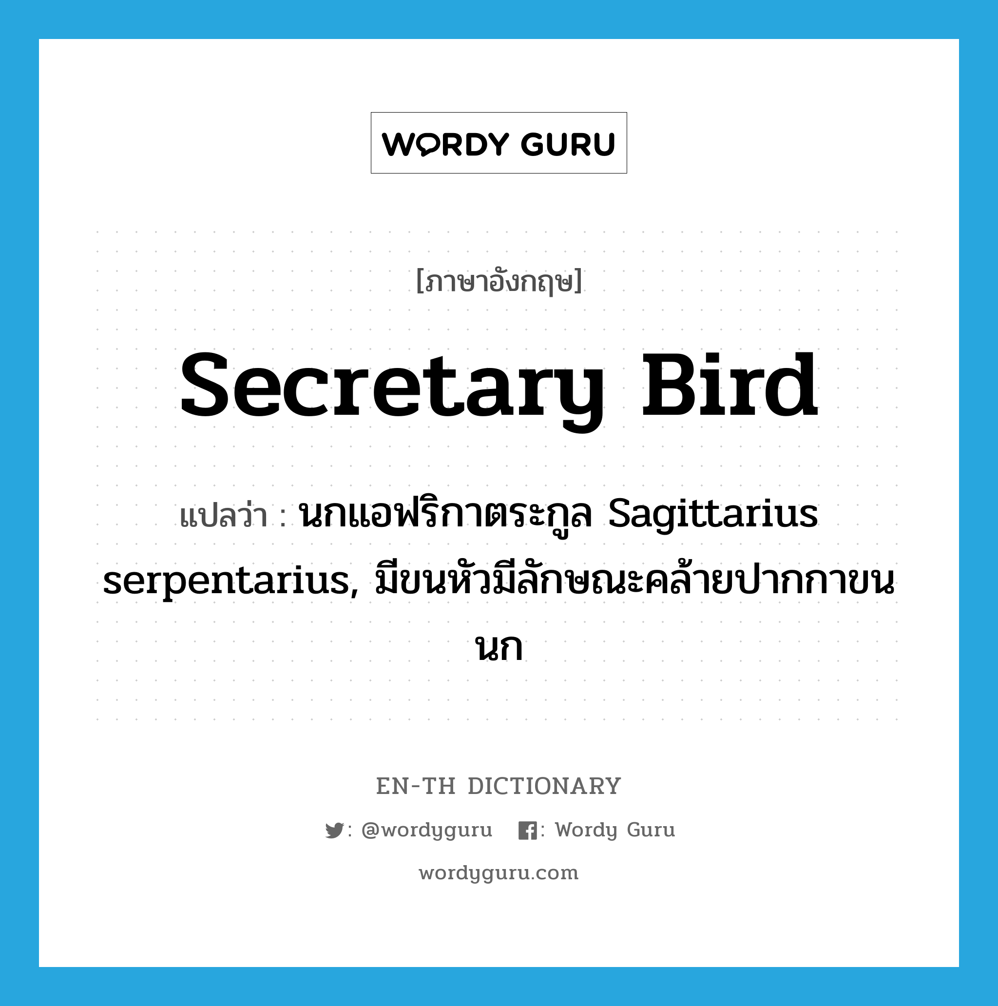 secretary bird แปลว่า?, คำศัพท์ภาษาอังกฤษ secretary bird แปลว่า นกแอฟริกาตระกูล Sagittarius serpentarius, มีขนหัวมีลักษณะคล้ายปากกาขนนก ประเภท N หมวด N