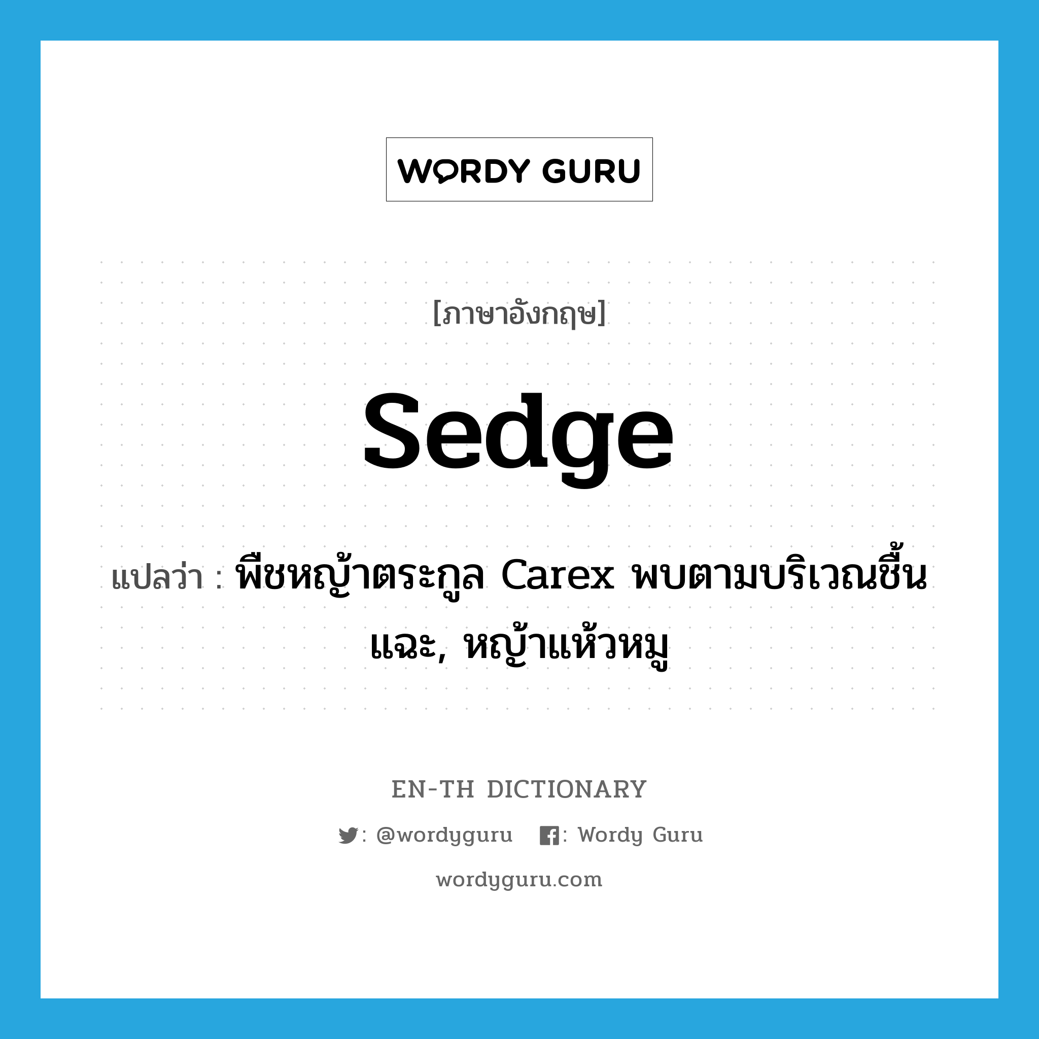sedge แปลว่า?, คำศัพท์ภาษาอังกฤษ sedge แปลว่า พืชหญ้าตระกูล Carex พบตามบริเวณชื้นแฉะ, หญ้าแห้วหมู ประเภท N หมวด N