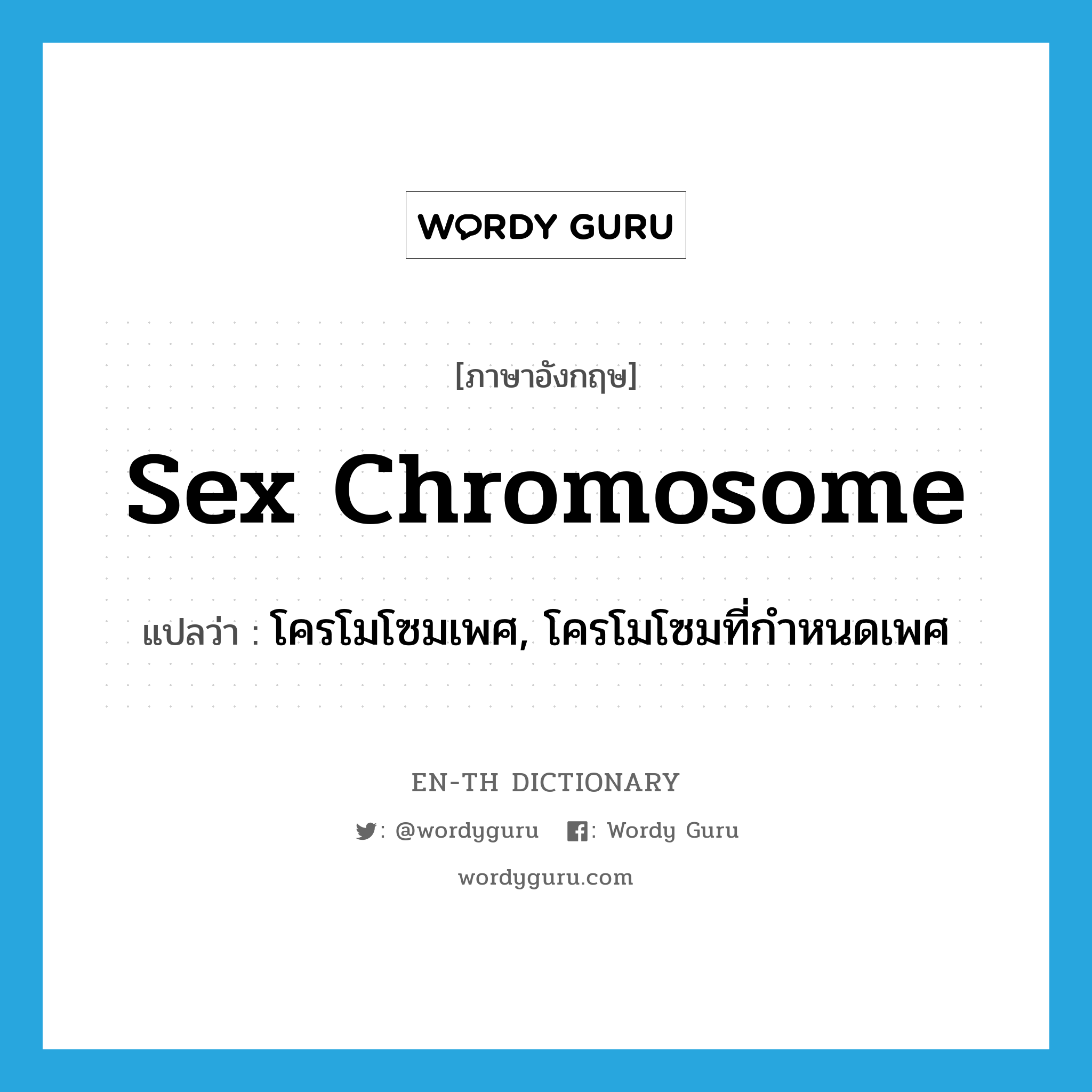 โครโมโซมเพศ, โครโมโซมที่กำหนดเพศ ภาษาอังกฤษ?, คำศัพท์ภาษาอังกฤษ โครโมโซมเพศ, โครโมโซมที่กำหนดเพศ แปลว่า sex chromosome ประเภท N หมวด N