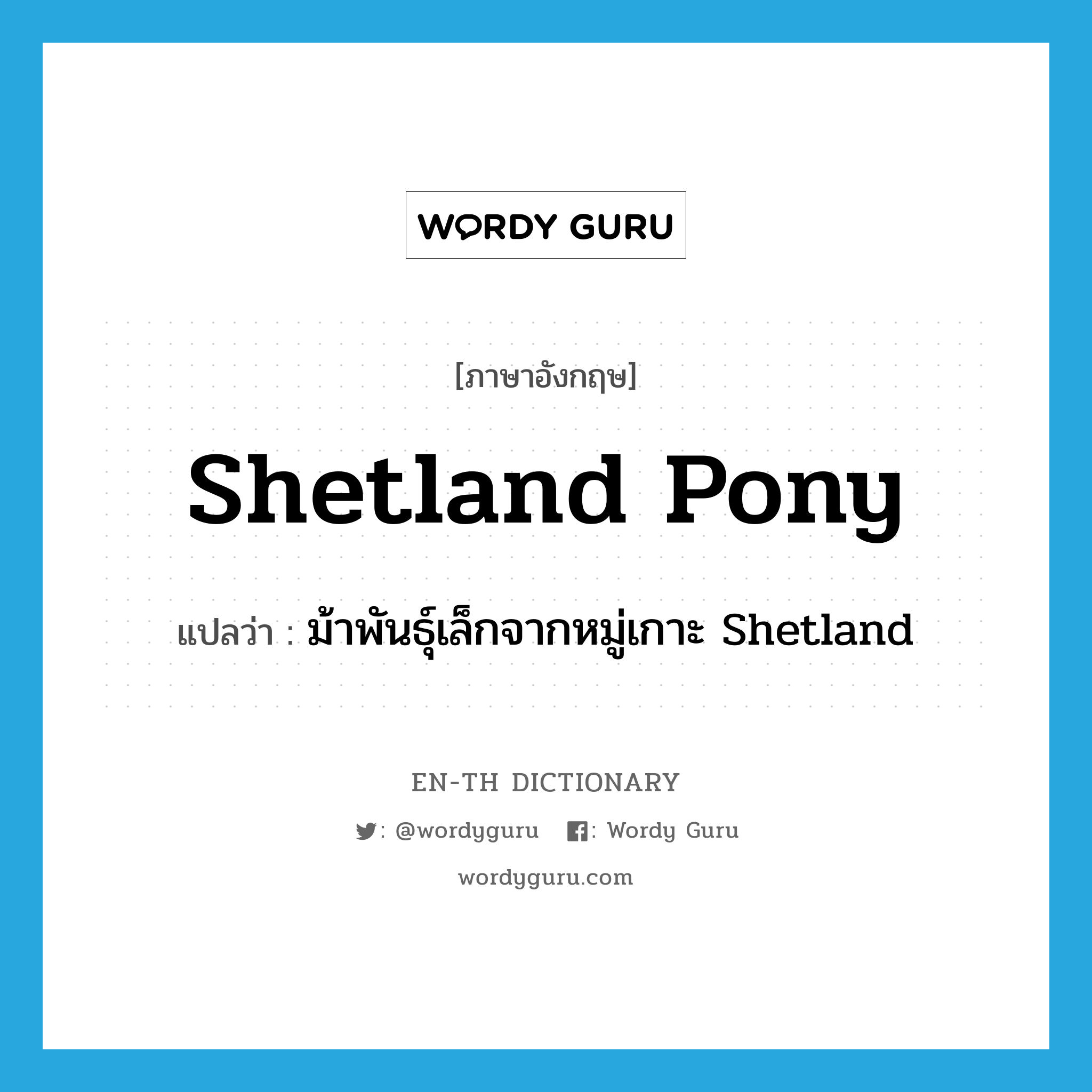Shetland pony แปลว่า?, คำศัพท์ภาษาอังกฤษ Shetland pony แปลว่า ม้าพันธุ์เล็กจากหมู่เกาะ Shetland ประเภท N หมวด N