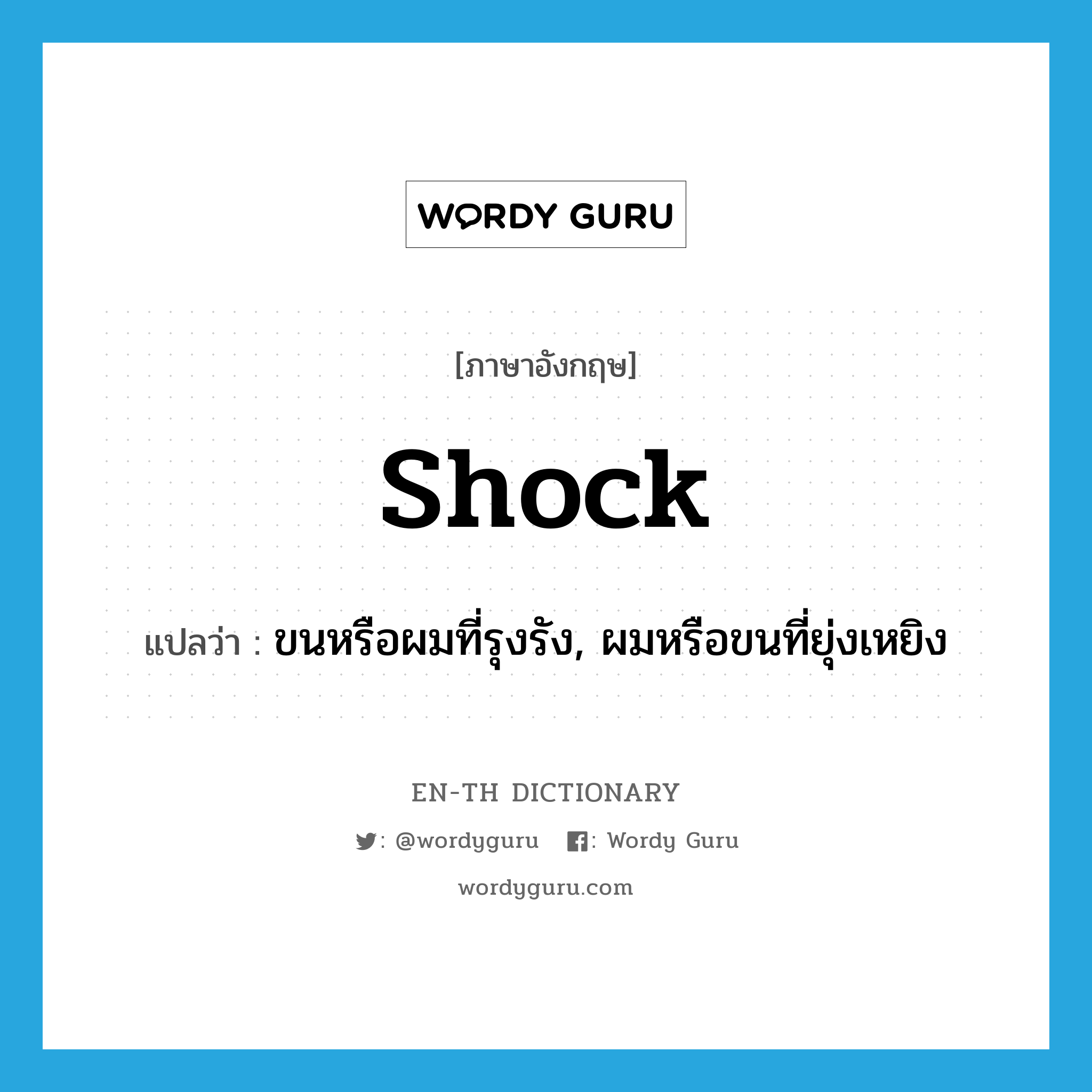 shock แปลว่า?, คำศัพท์ภาษาอังกฤษ shock แปลว่า ขนหรือผมที่รุงรัง, ผมหรือขนที่ยุ่งเหยิง ประเภท N หมวด N