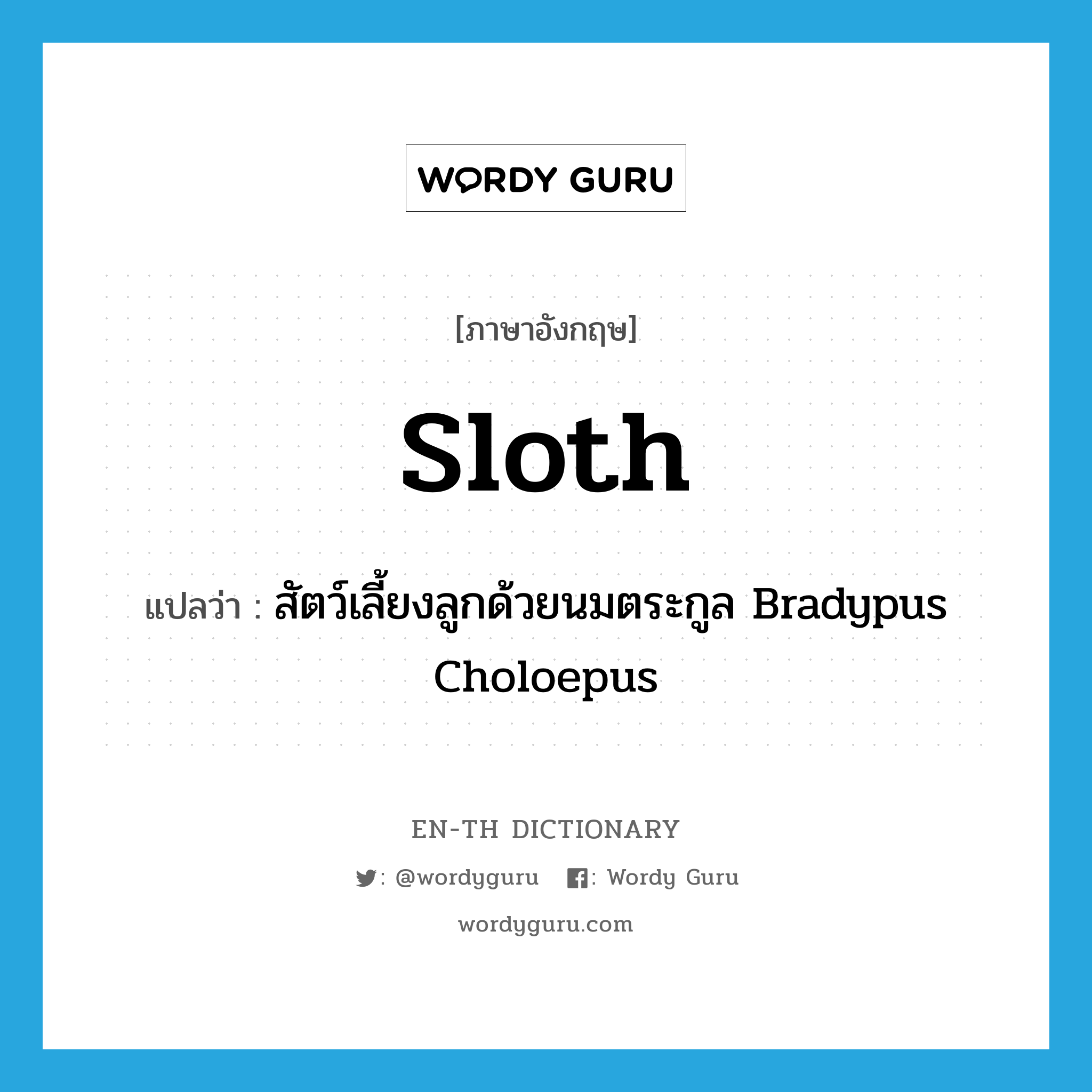 สัตว์เลี้ยงลูกด้วยนมตระกูล Bradypus Choloepus ภาษาอังกฤษ?, คำศัพท์ภาษาอังกฤษ สัตว์เลี้ยงลูกด้วยนมตระกูล Bradypus Choloepus แปลว่า sloth ประเภท N หมวด N