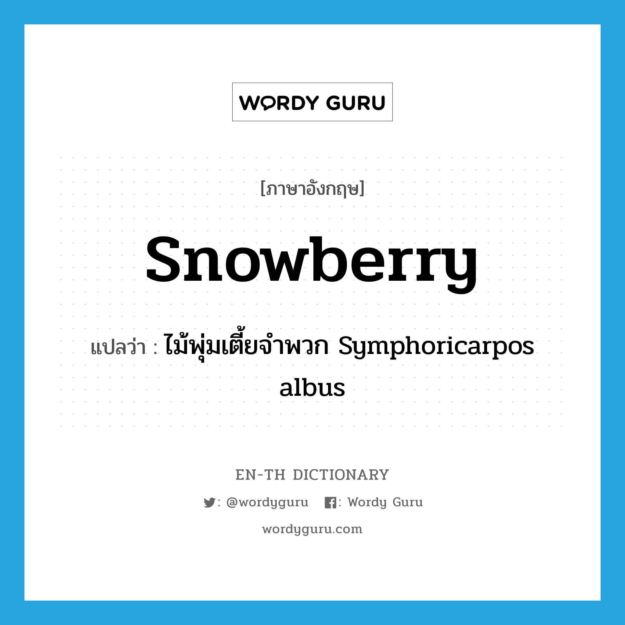 ไม้พุ่มเตี้ยจำพวก Symphoricarpos albus ภาษาอังกฤษ?, คำศัพท์ภาษาอังกฤษ ไม้พุ่มเตี้ยจำพวก Symphoricarpos albus แปลว่า snowberry ประเภท N หมวด N