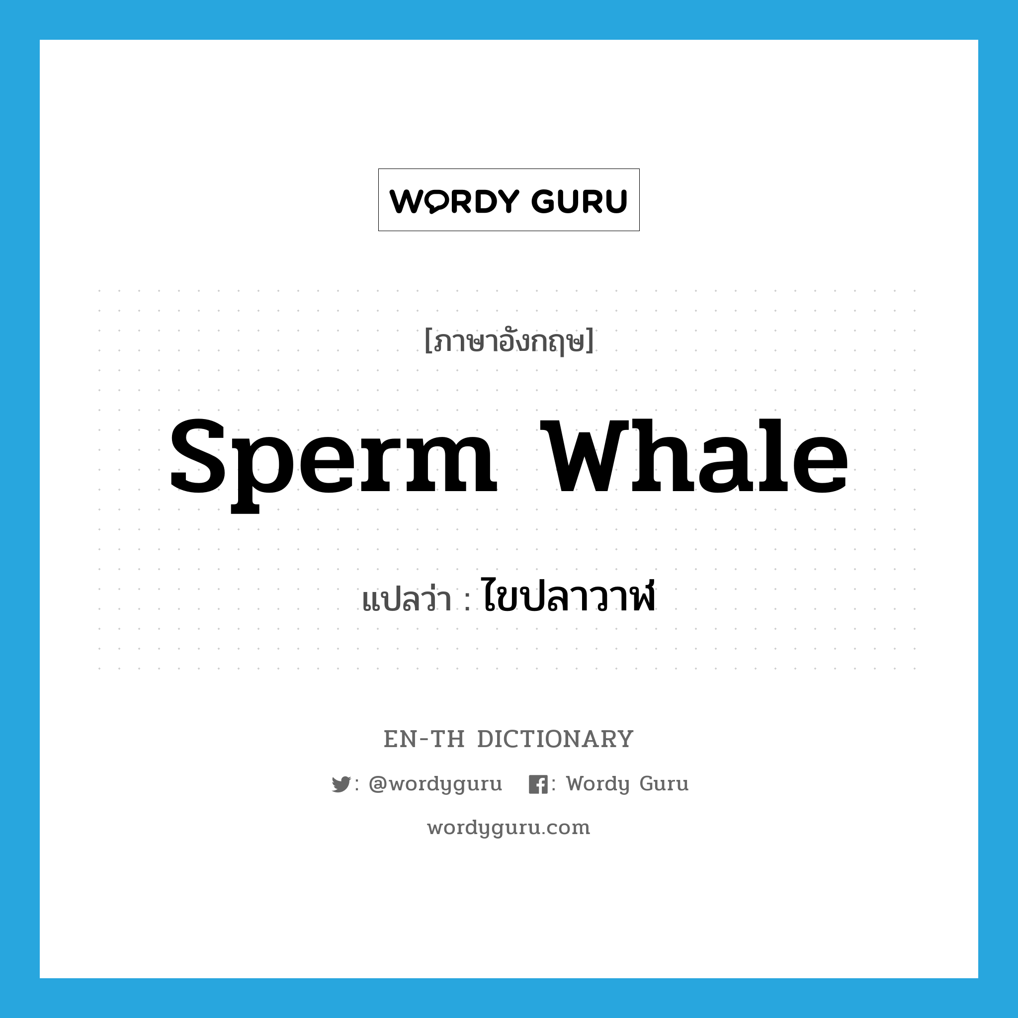 ไขปลาวาฬ ภาษาอังกฤษ?, คำศัพท์ภาษาอังกฤษ ไขปลาวาฬ แปลว่า sperm whale ประเภท N หมวด N