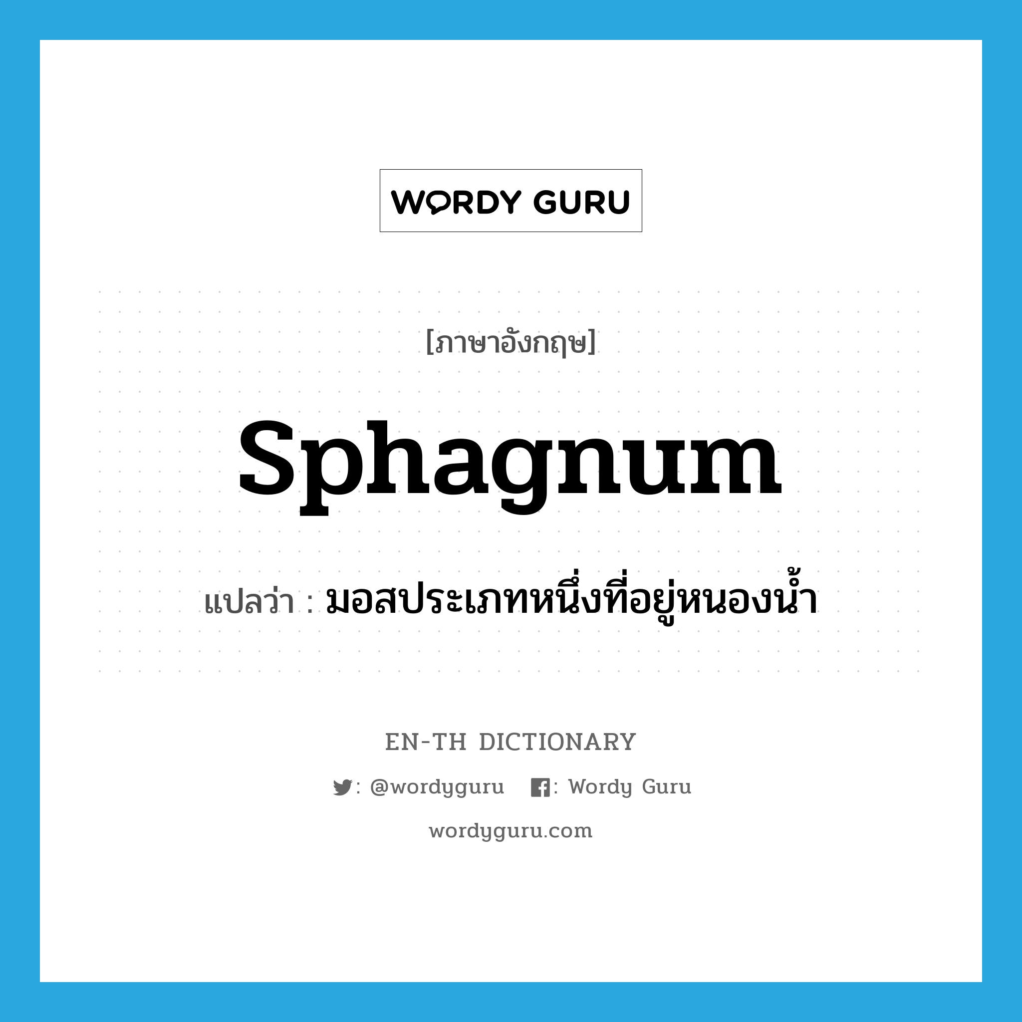 sphagnum แปลว่า?, คำศัพท์ภาษาอังกฤษ sphagnum แปลว่า มอสประเภทหนึ่งที่อยู่หนองน้ำ ประเภท N หมวด N
