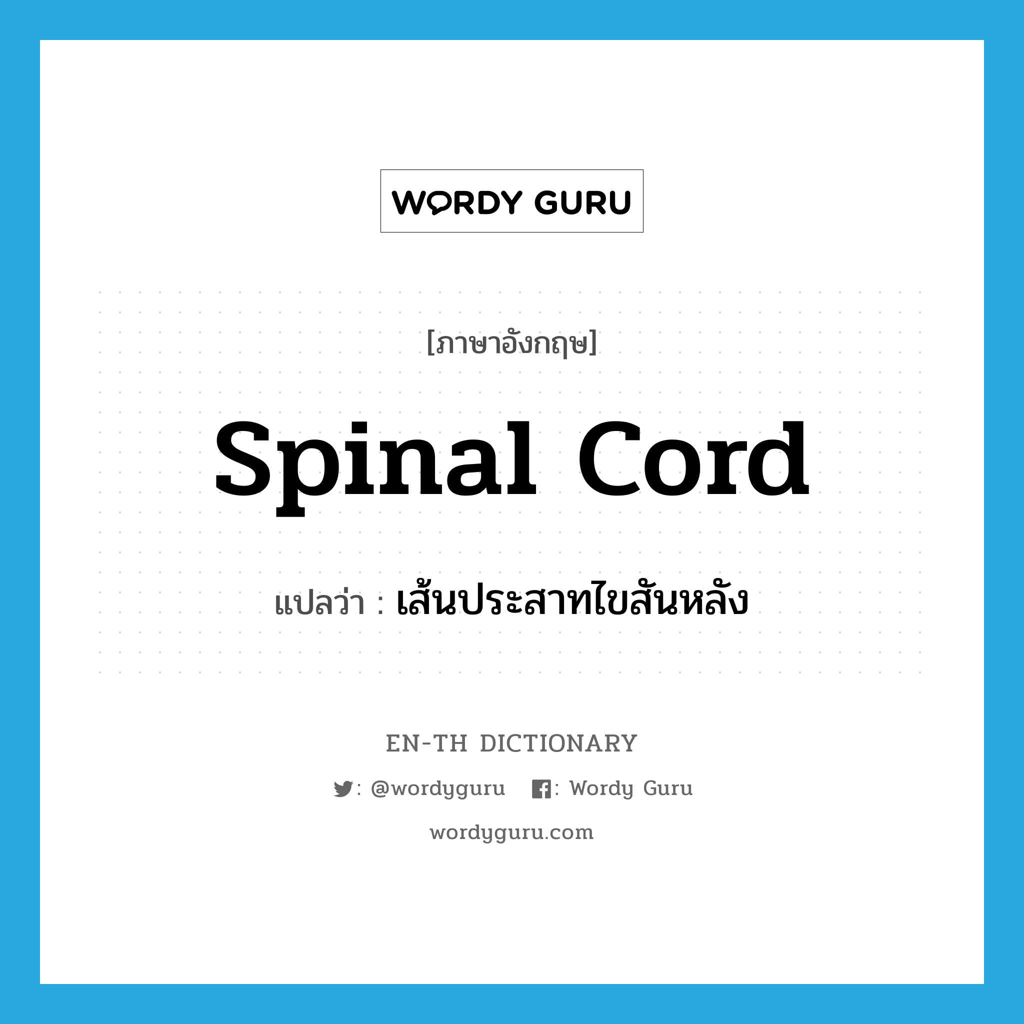 เส้นประสาทไขสันหลัง ภาษาอังกฤษ?, คำศัพท์ภาษาอังกฤษ เส้นประสาทไขสันหลัง แปลว่า spinal cord ประเภท N หมวด N