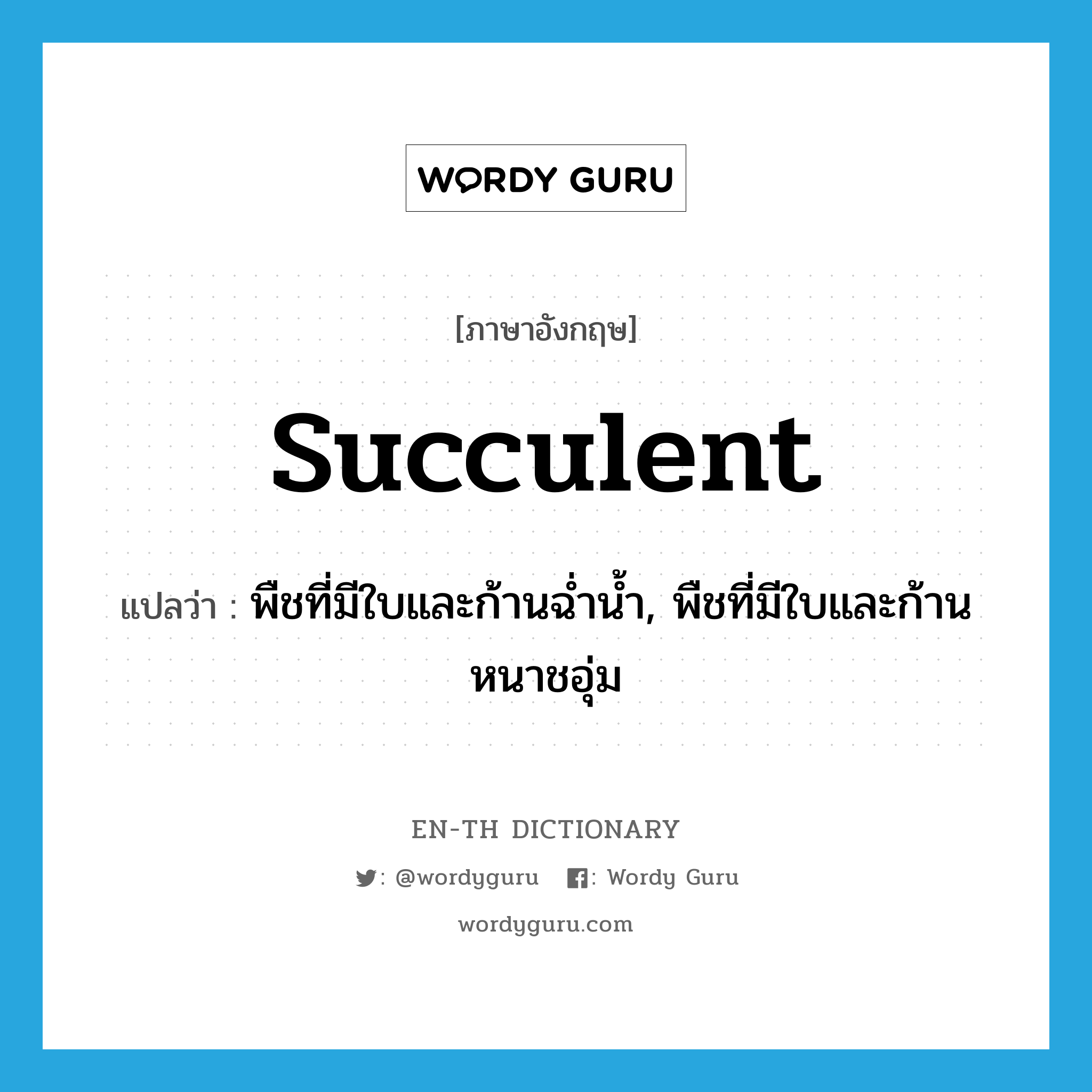 succulent แปลว่า?, คำศัพท์ภาษาอังกฤษ succulent แปลว่า พืชที่มีใบและก้านฉ่ำน้ำ, พืชที่มีใบและก้านหนาชอุ่ม ประเภท N หมวด N
