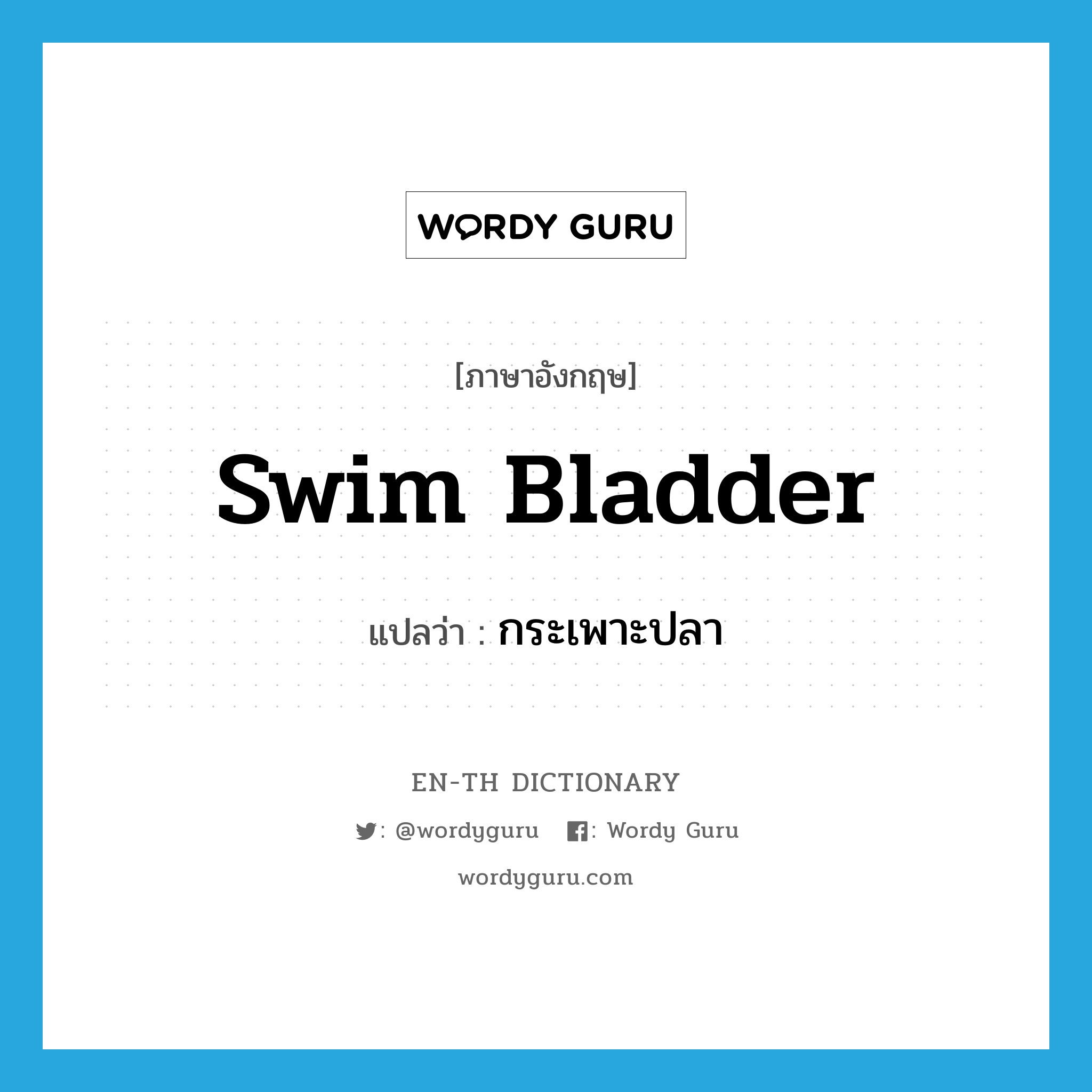 swim bladder แปลว่า?, คำศัพท์ภาษาอังกฤษ swim bladder แปลว่า กระเพาะปลา ประเภท N หมวด N