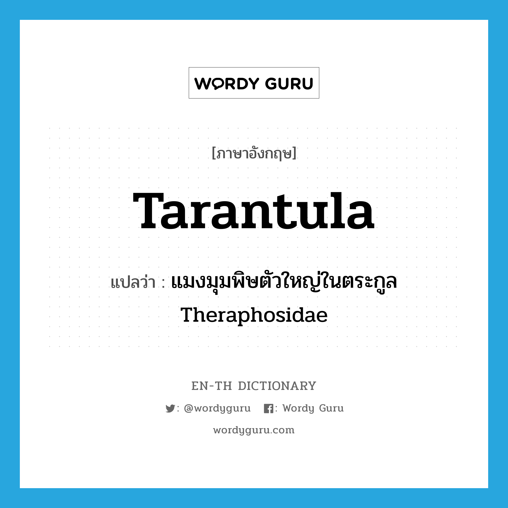 tarantula แปลว่า?, คำศัพท์ภาษาอังกฤษ tarantula แปลว่า แมงมุมพิษตัวใหญ่ในตระกูล Theraphosidae ประเภท N หมวด N