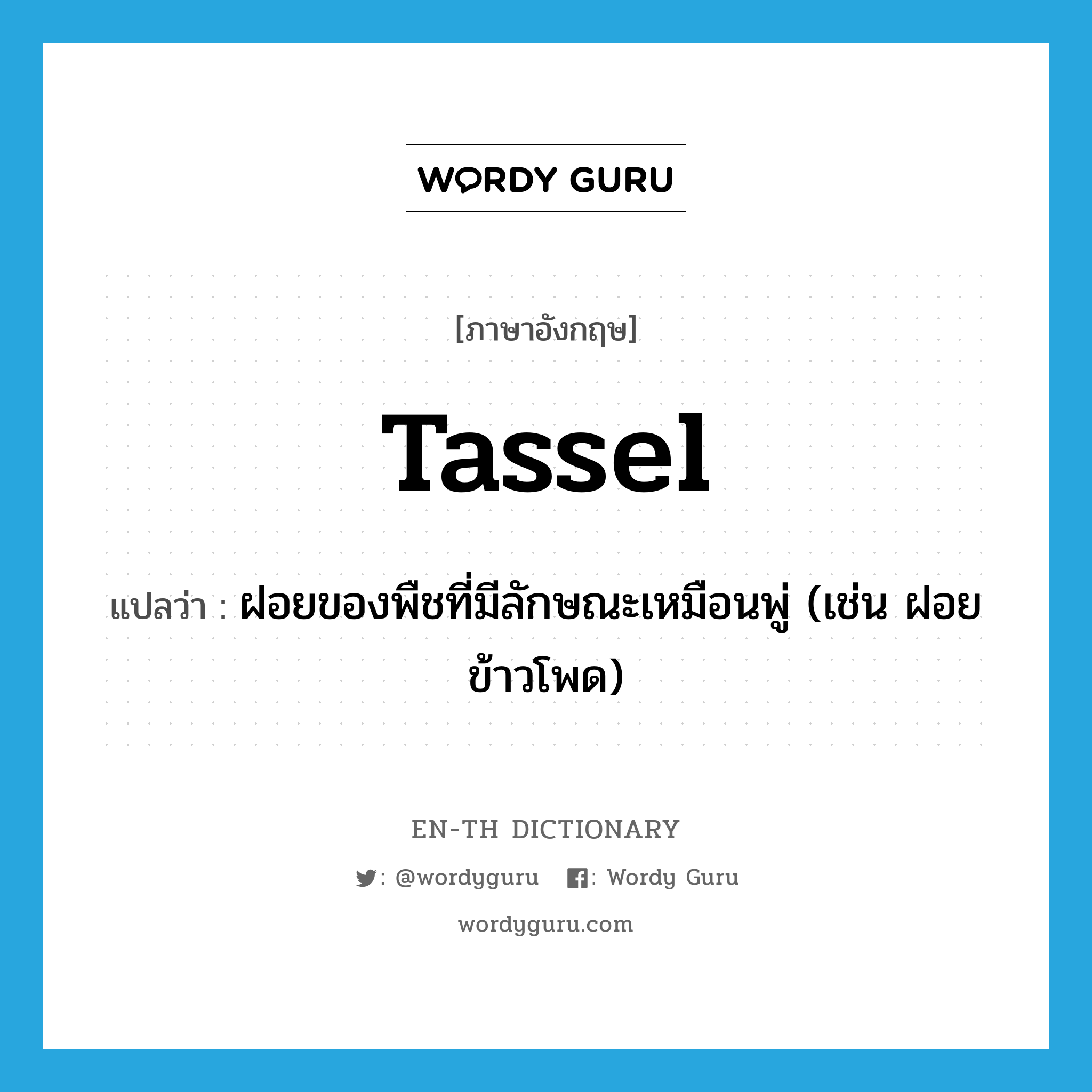 tassel แปลว่า?, คำศัพท์ภาษาอังกฤษ tassel แปลว่า ฝอยของพืชที่มีลักษณะเหมือนพู่ (เช่น ฝอยข้าวโพด) ประเภท N หมวด N