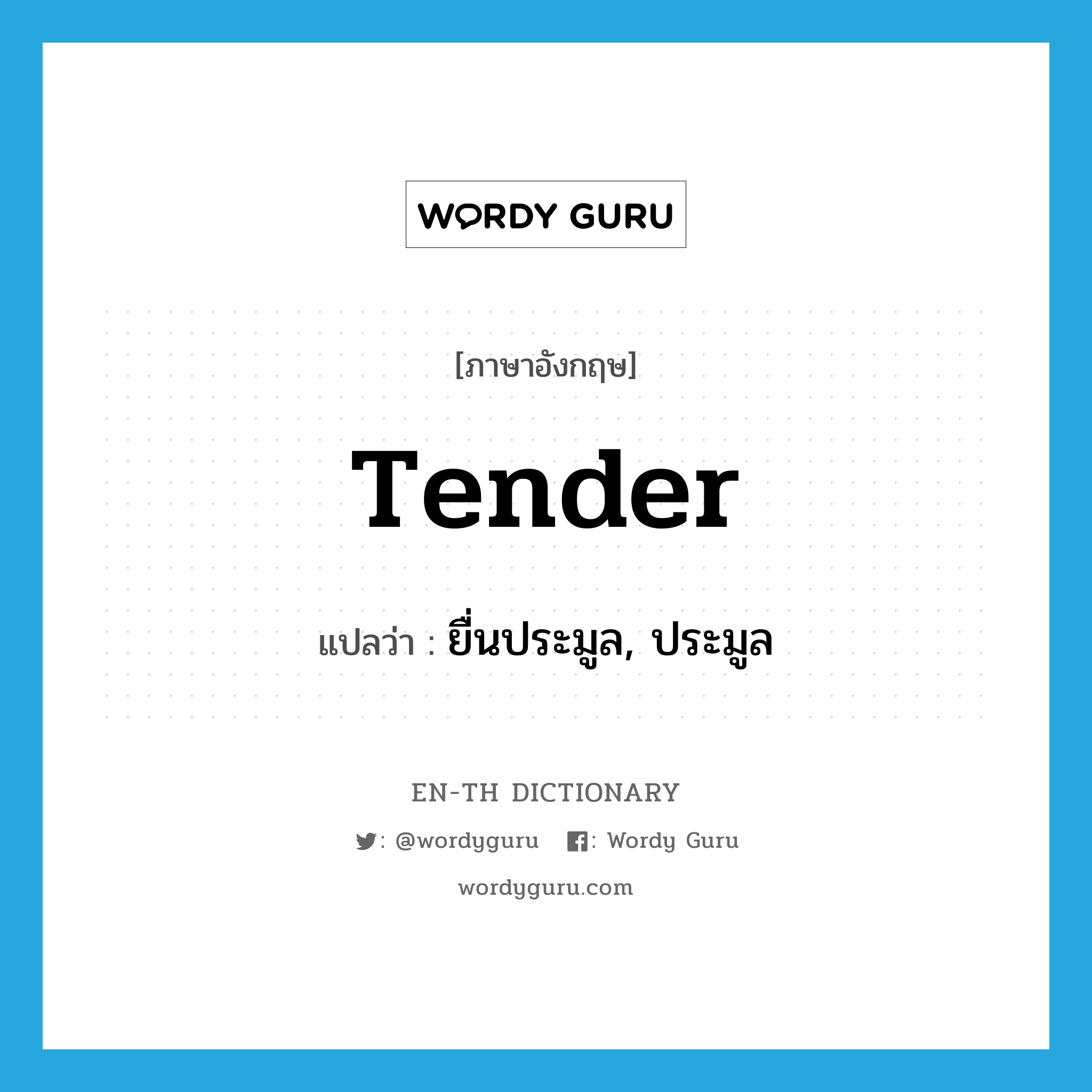 tender แปลว่า?, คำศัพท์ภาษาอังกฤษ tender แปลว่า ยื่นประมูล, ประมูล ประเภท VI หมวด VI