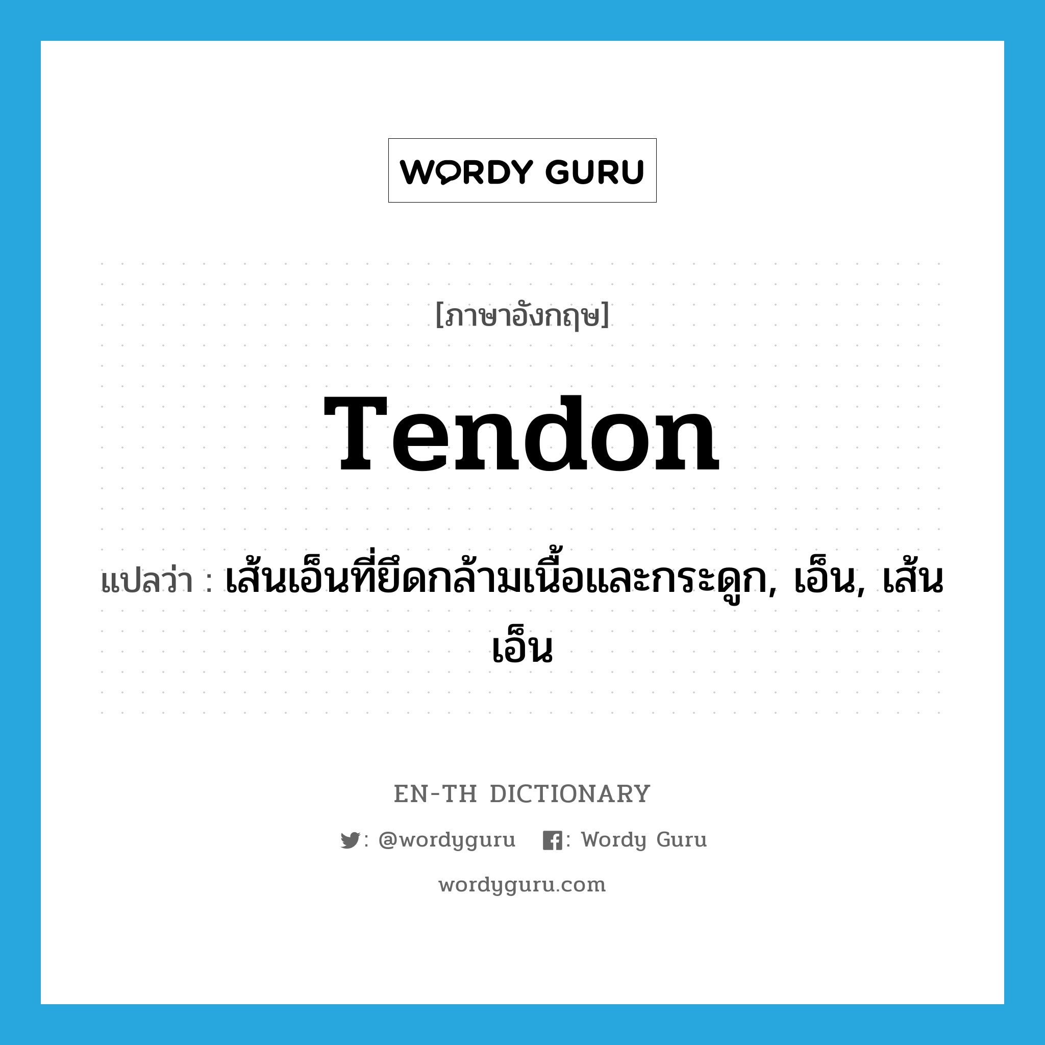 tendon แปลว่า?, คำศัพท์ภาษาอังกฤษ tendon แปลว่า เส้นเอ็นที่ยึดกล้ามเนื้อและกระดูก, เอ็น, เส้นเอ็น ประเภท N หมวด N