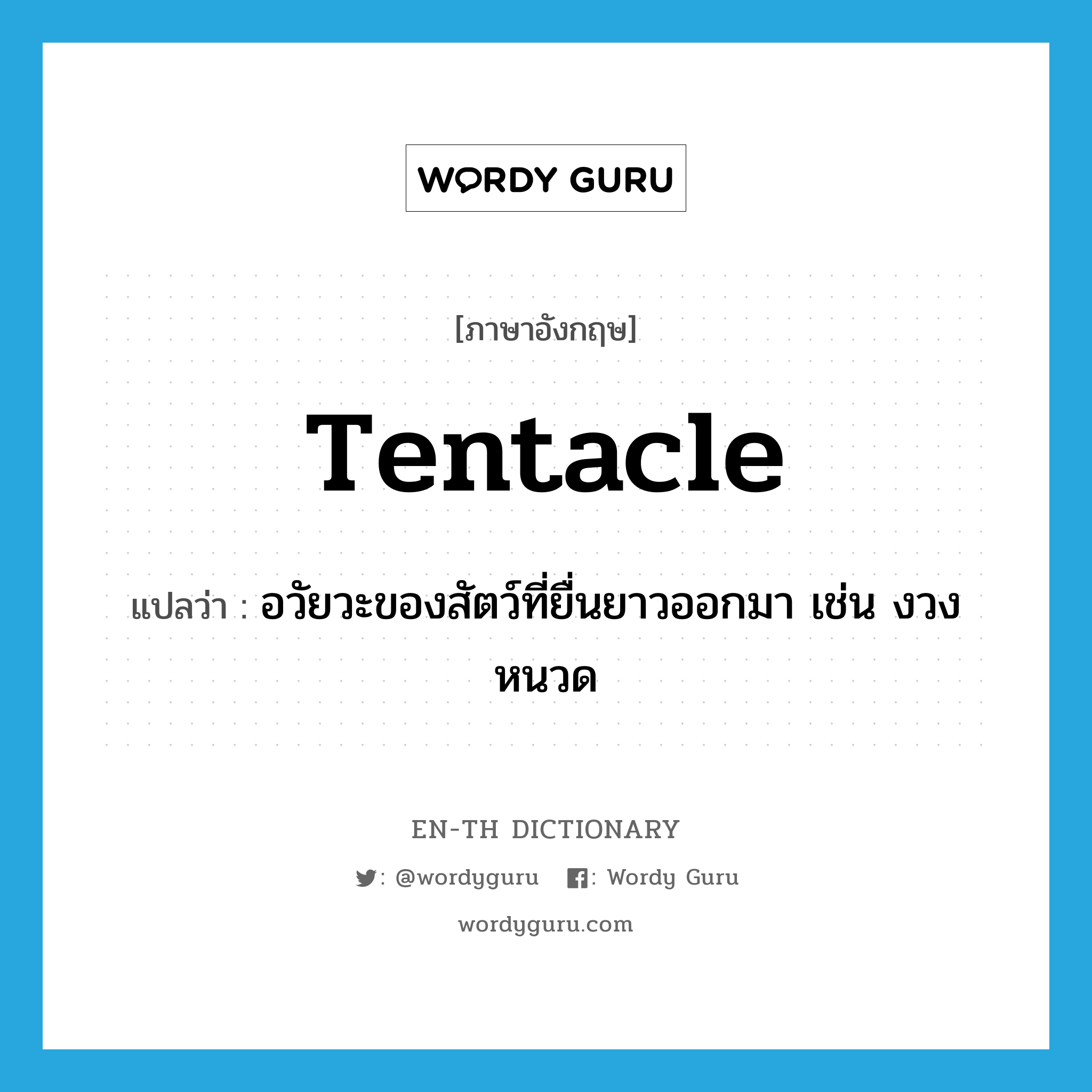 tentacle แปลว่า?, คำศัพท์ภาษาอังกฤษ tentacle แปลว่า อวัยวะของสัตว์ที่ยื่นยาวออกมา เช่น งวง หนวด ประเภท N หมวด N