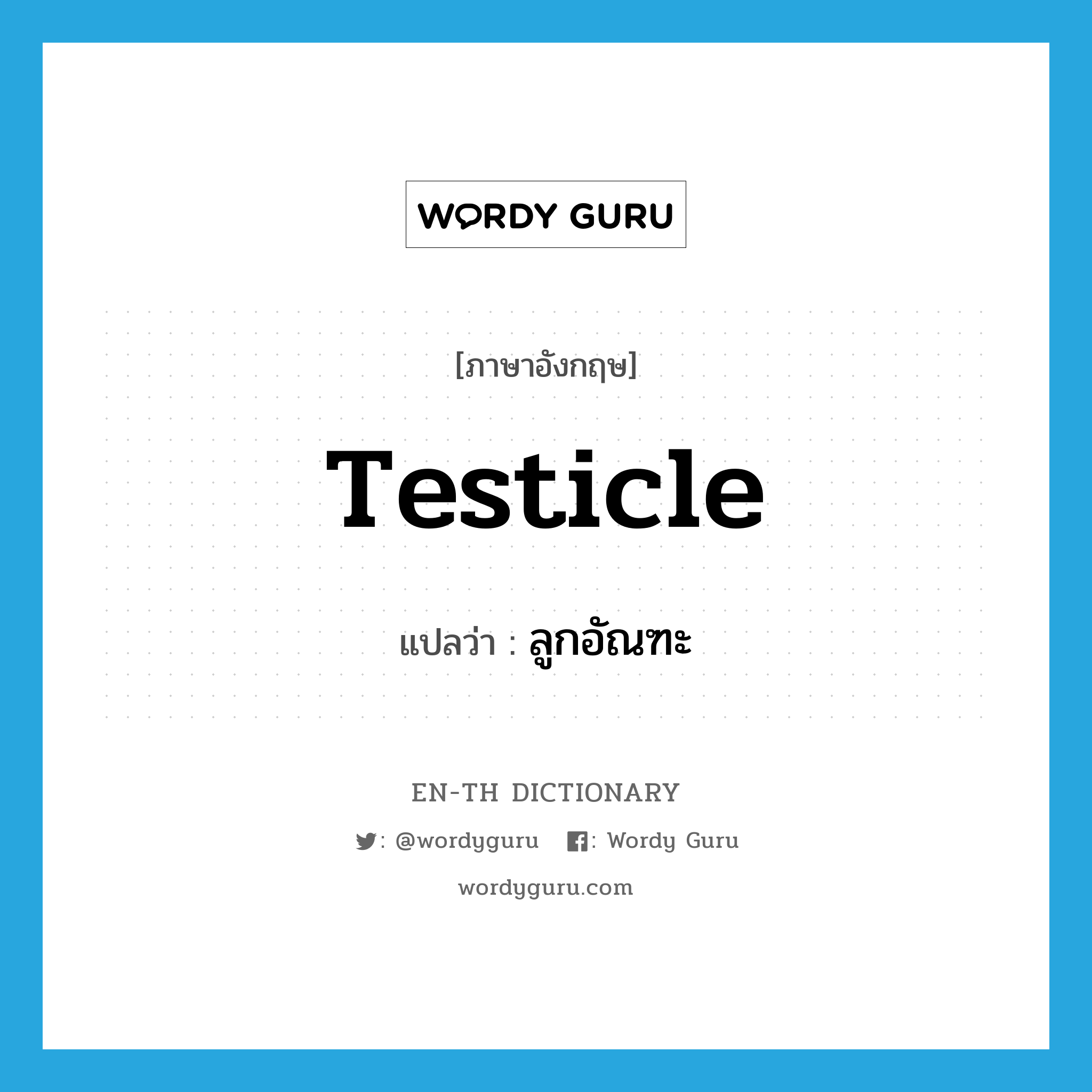 testicle แปลว่า?, คำศัพท์ภาษาอังกฤษ testicle แปลว่า ลูกอัณฑะ ประเภท N หมวด N
