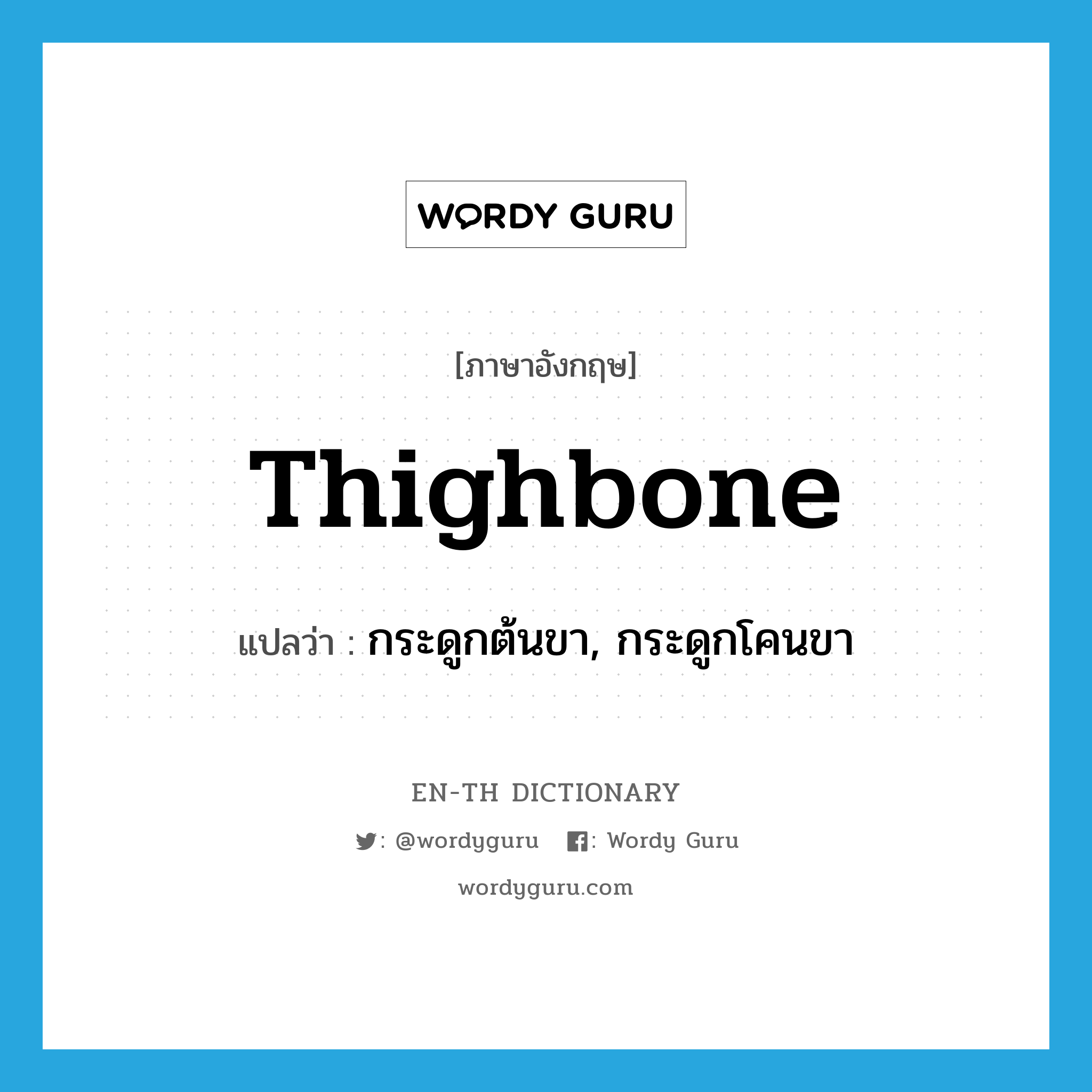 thighbone แปลว่า?, คำศัพท์ภาษาอังกฤษ thighbone แปลว่า กระดูกต้นขา, กระดูกโคนขา ประเภท N หมวด N