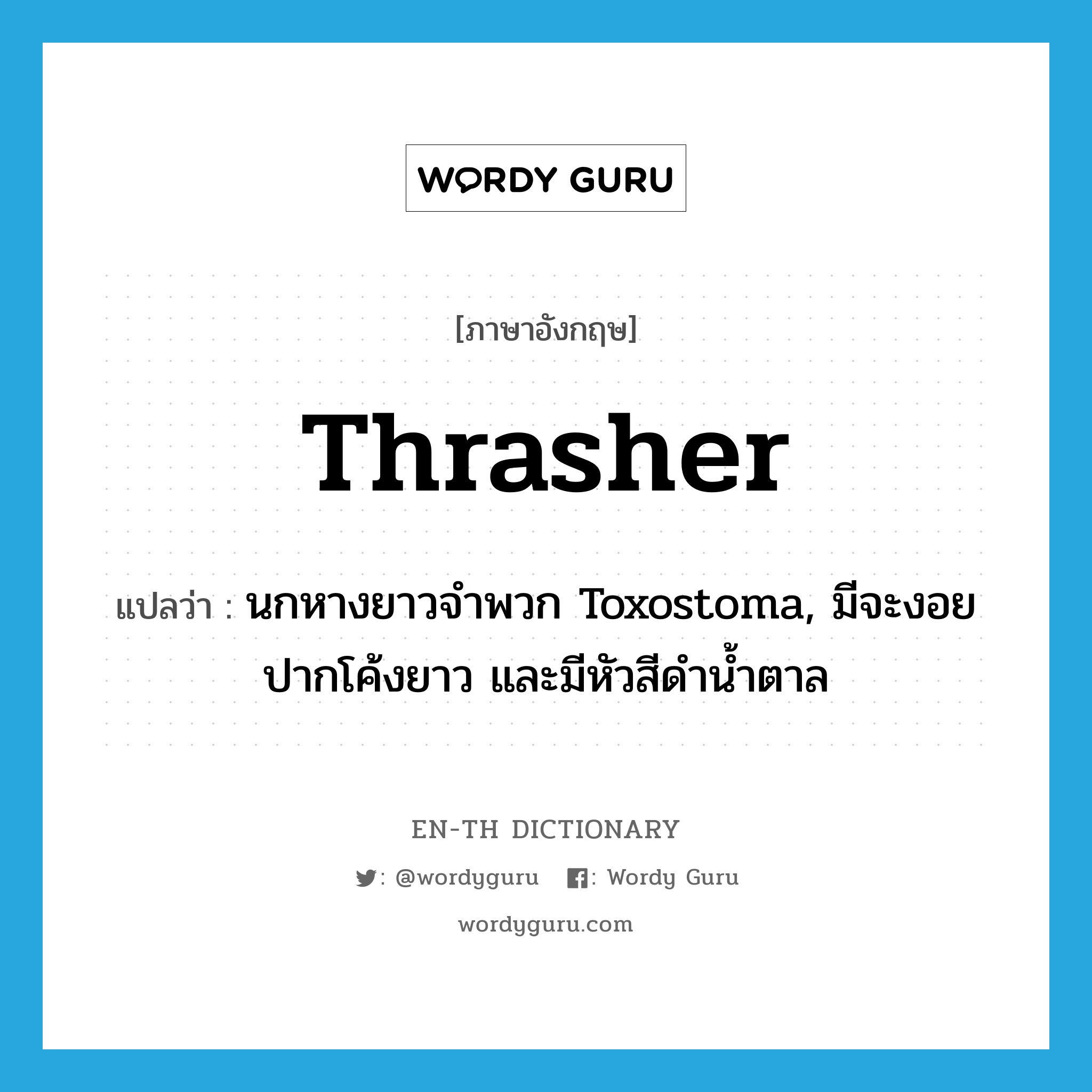 thrasher แปลว่า?, คำศัพท์ภาษาอังกฤษ thrasher แปลว่า นกหางยาวจำพวก Toxostoma, มีจะงอยปากโค้งยาว และมีหัวสีดำน้ำตาล ประเภท N หมวด N