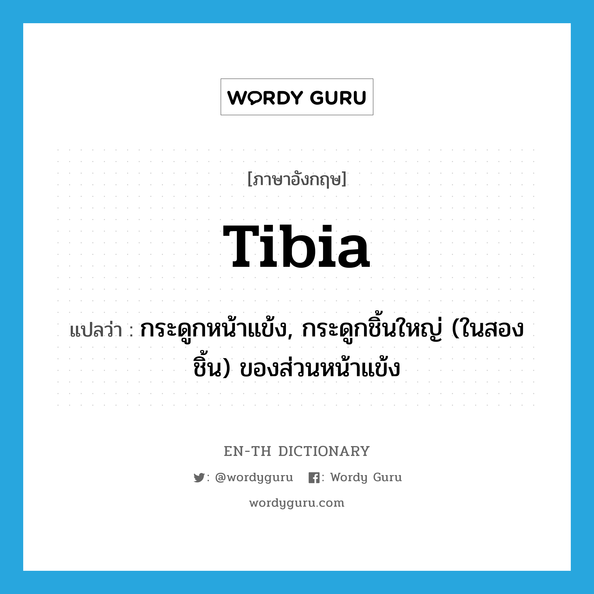 tibia แปลว่า?, คำศัพท์ภาษาอังกฤษ tibia แปลว่า กระดูกหน้าแข้ง, กระดูกชิ้นใหญ่ (ในสองชิ้น) ของส่วนหน้าแข้ง ประเภท N หมวด N