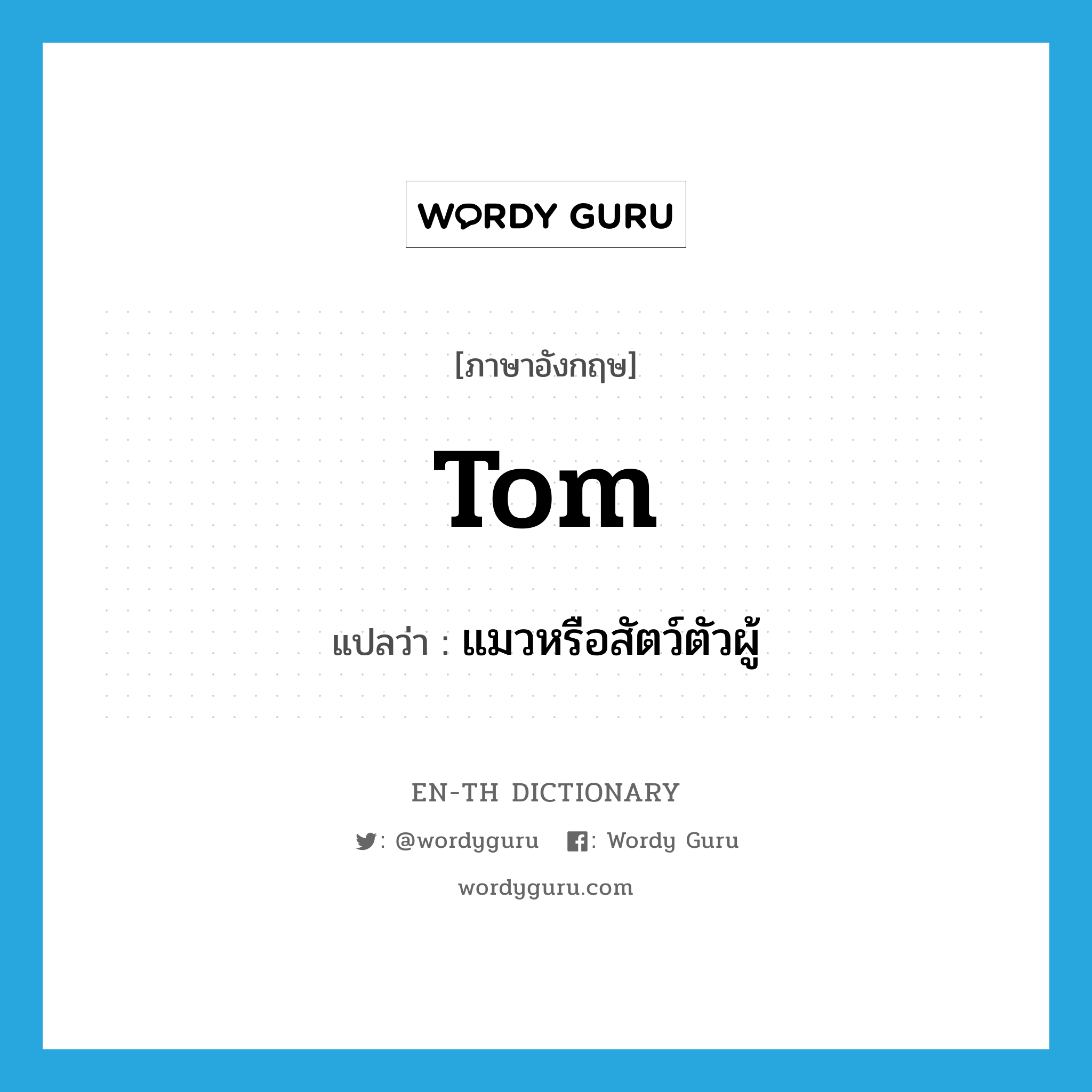 tom แปลว่า?, คำศัพท์ภาษาอังกฤษ tom แปลว่า แมวหรือสัตว์ตัวผู้ ประเภท N หมวด N