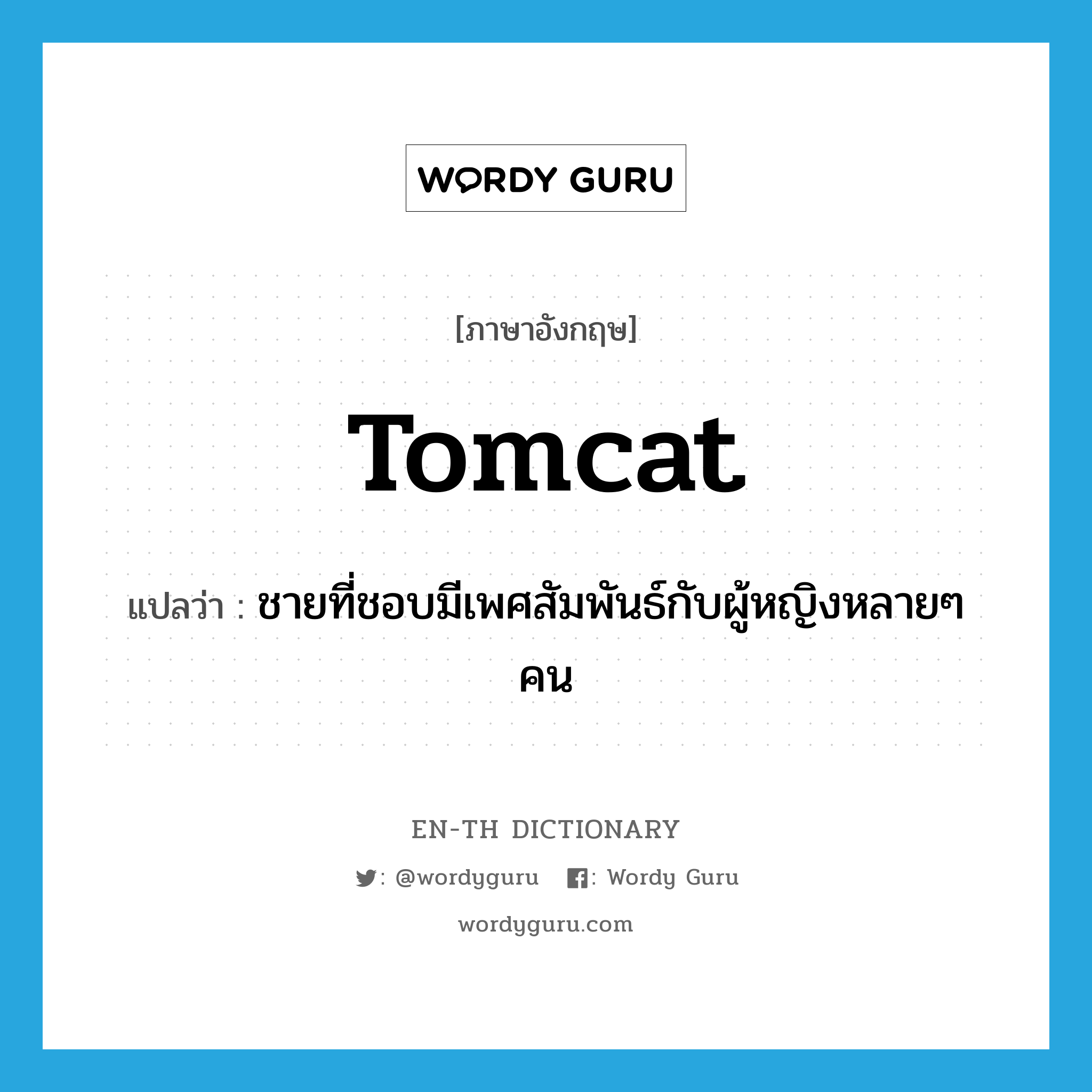 tomcat แปลว่า?, คำศัพท์ภาษาอังกฤษ tomcat แปลว่า ชายที่ชอบมีเพศสัมพันธ์กับผู้หญิงหลายๆ คน ประเภท N หมวด N